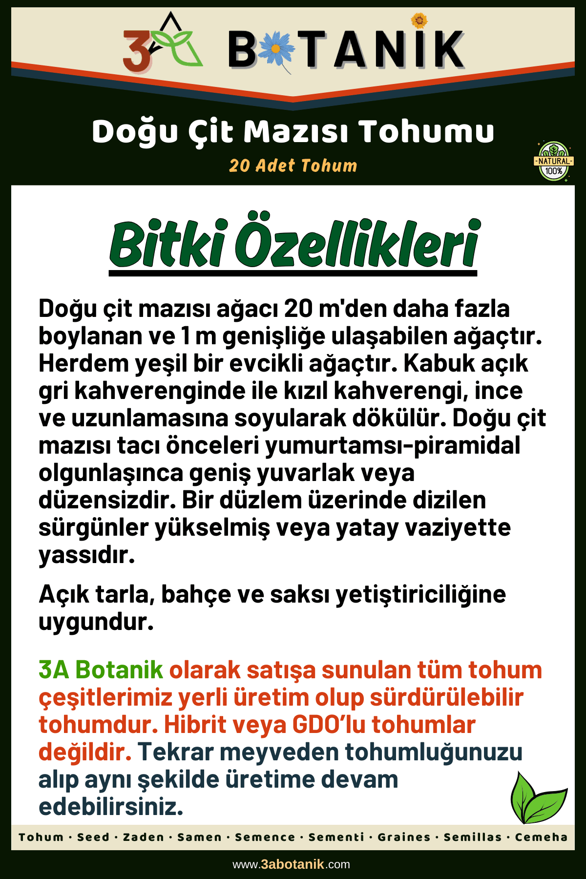 Doğu Çit Mazısı Tohumu, 20 Adet Tohum