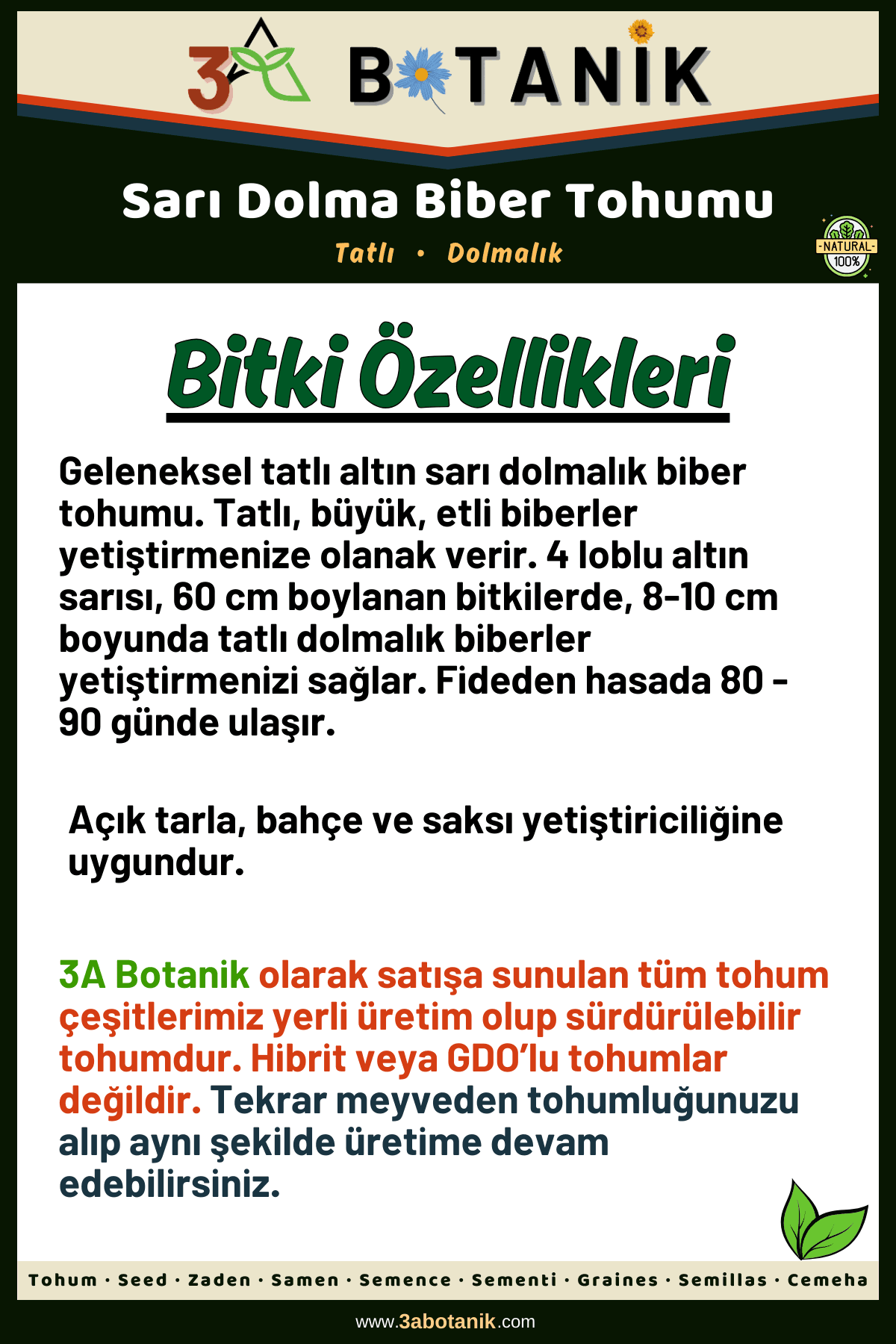 Sarı Dolma Biber Tohumu