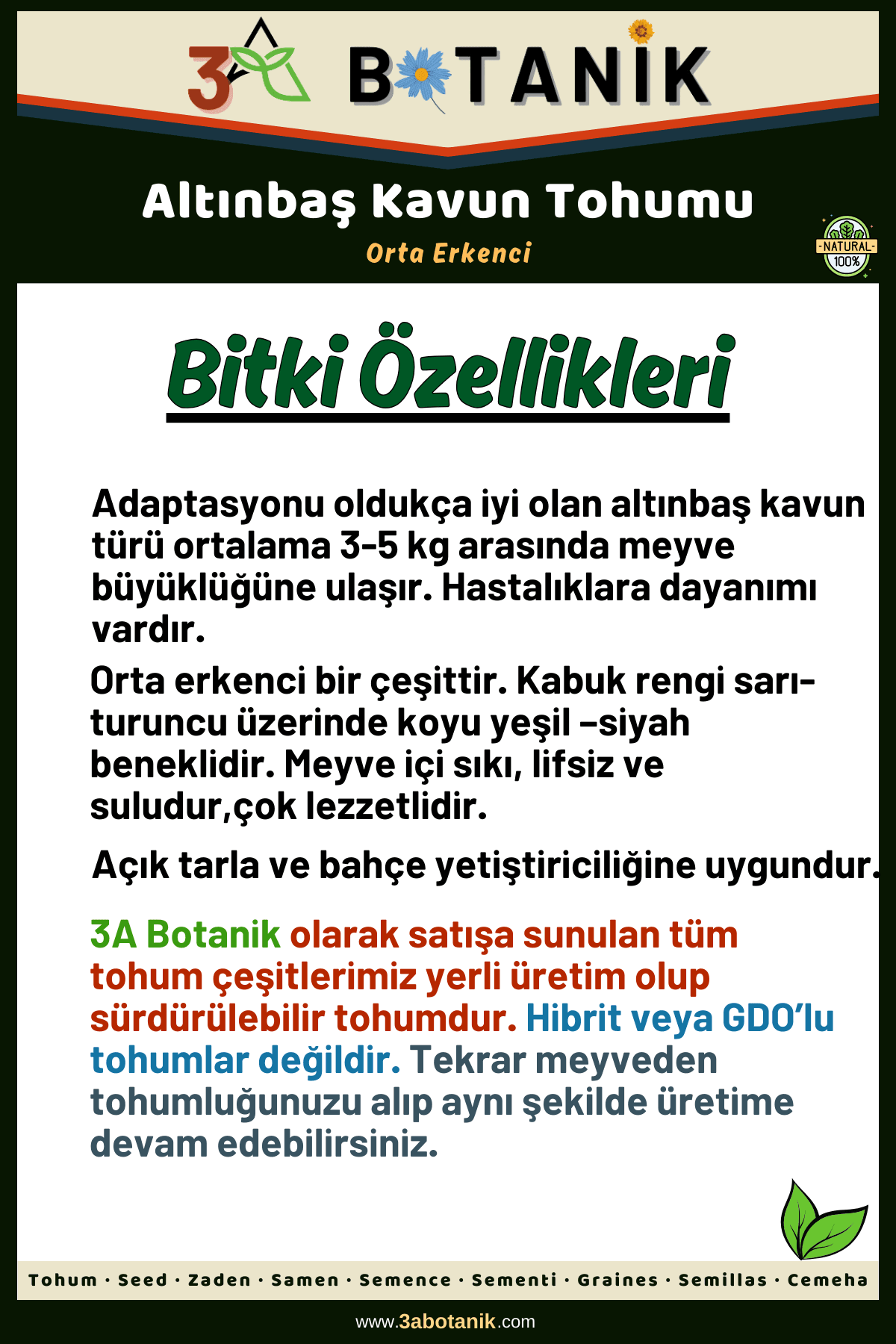 Altınbaş Kavun Tohumu