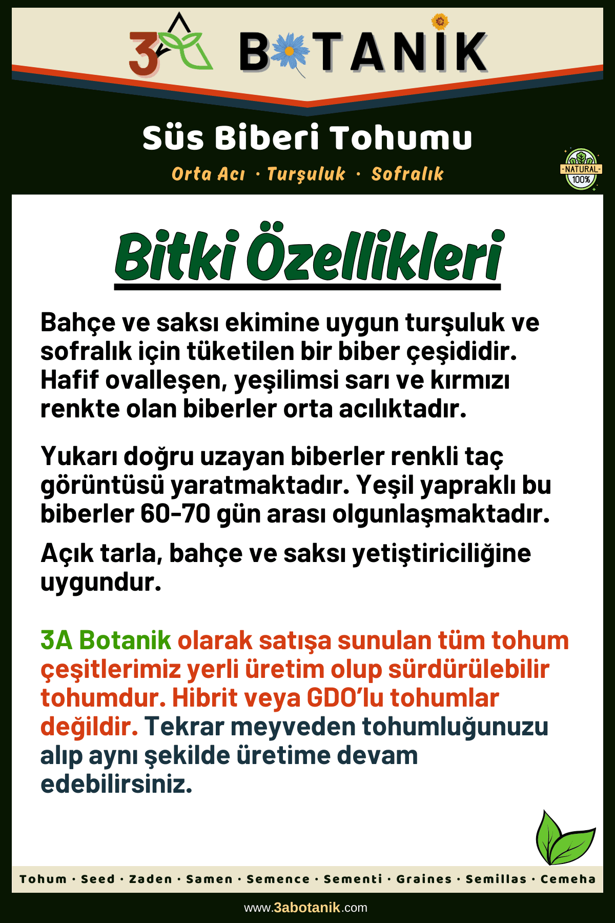 Süs Biber Tohumu