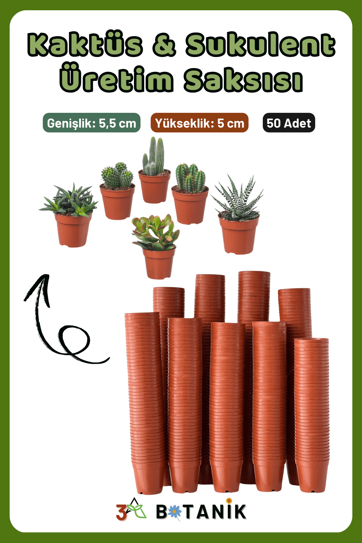 Kaktüs - Sukulent - Bitki Üretim Saksısı