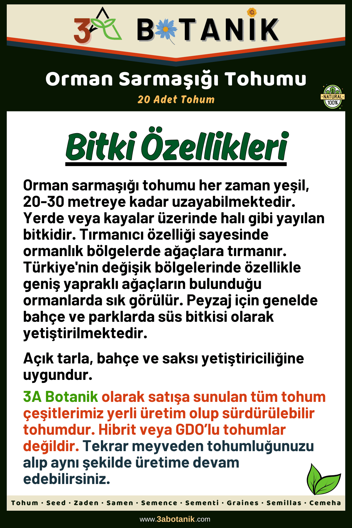 Orman Sarmaşığı Tohumu, 20 Adet Tohum