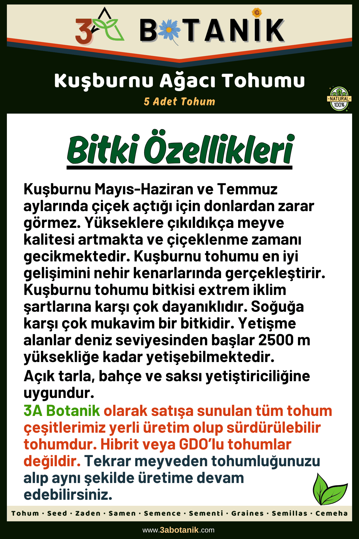 Kuşburnu Ağacı Tohumu, 5 Adet Tohum