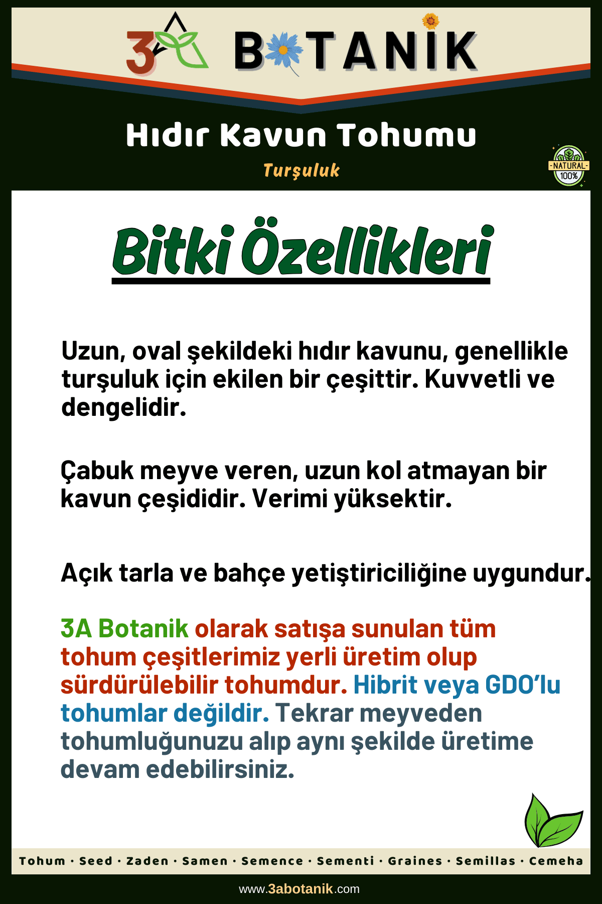 Hıdır Kavun Tohumu