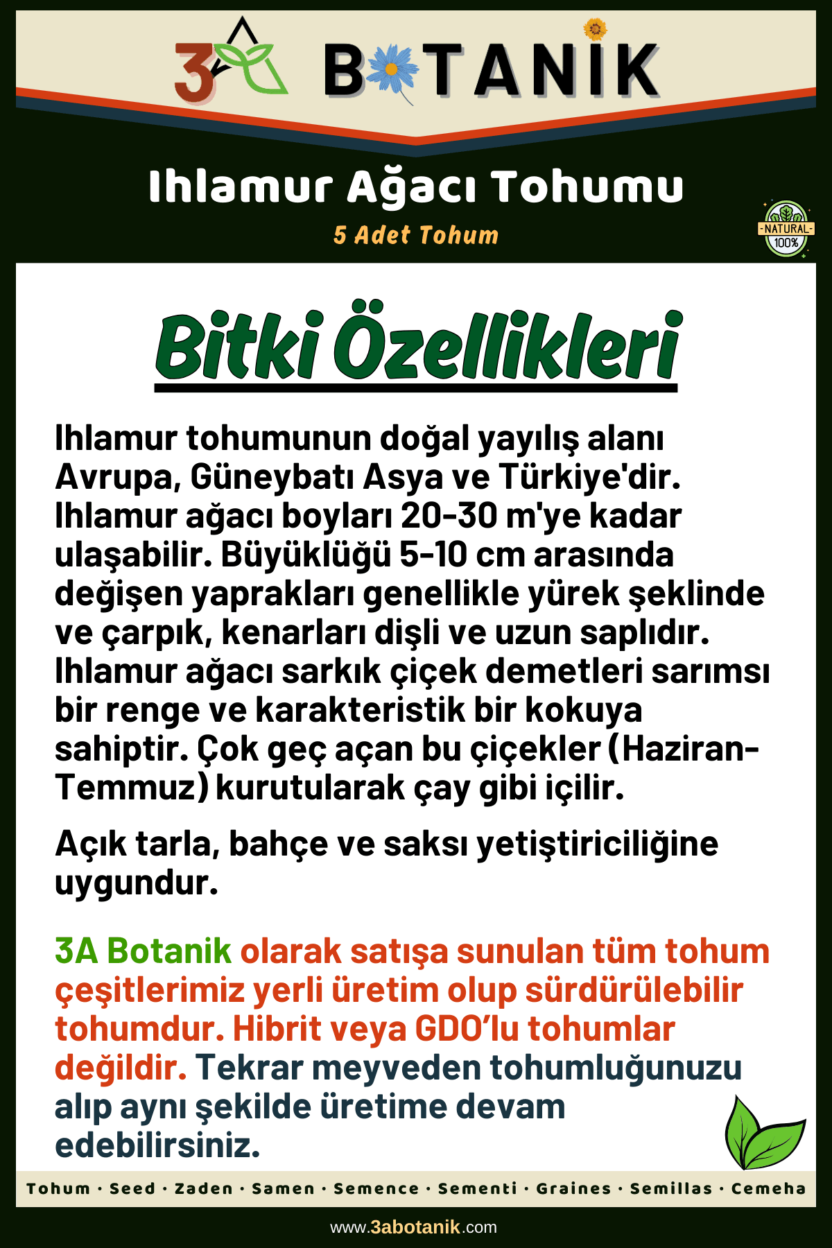 Ihlamur Ağacı Tohumu, 5 Adet Tohum