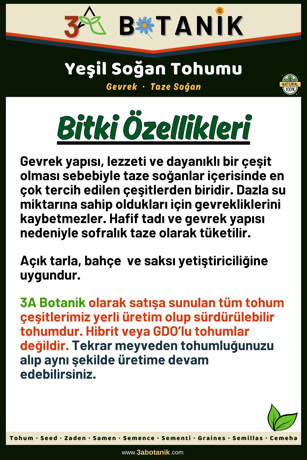 Yeşil Soğan Tohumu