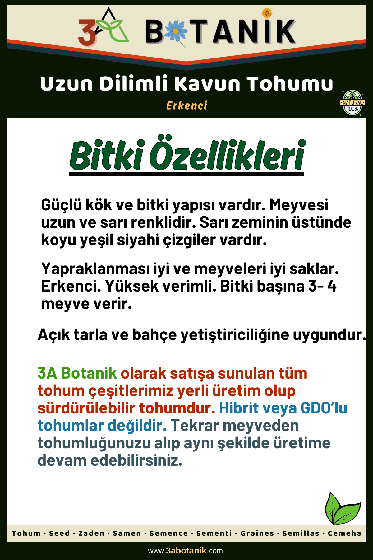 Uzun Dilimli Kavun Tohumu