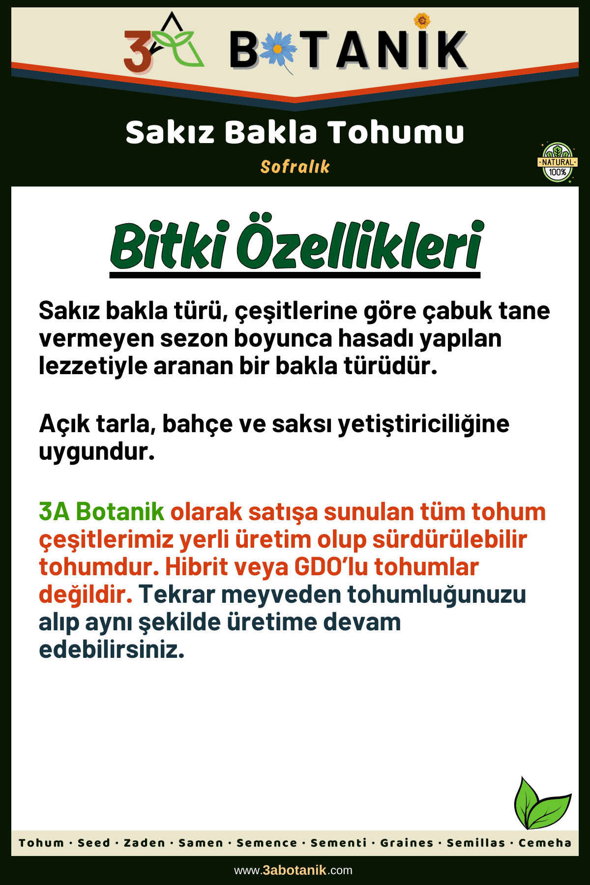 Sakız Bakla Tohumu