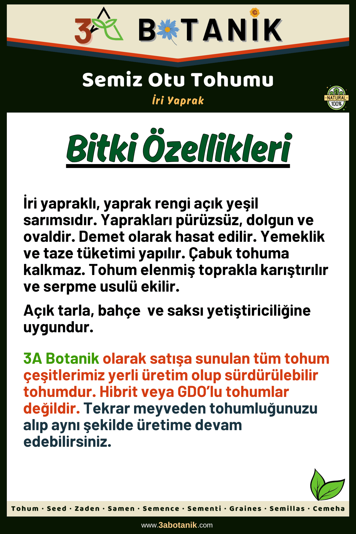 İri Yaprak Semizotu Tohumu