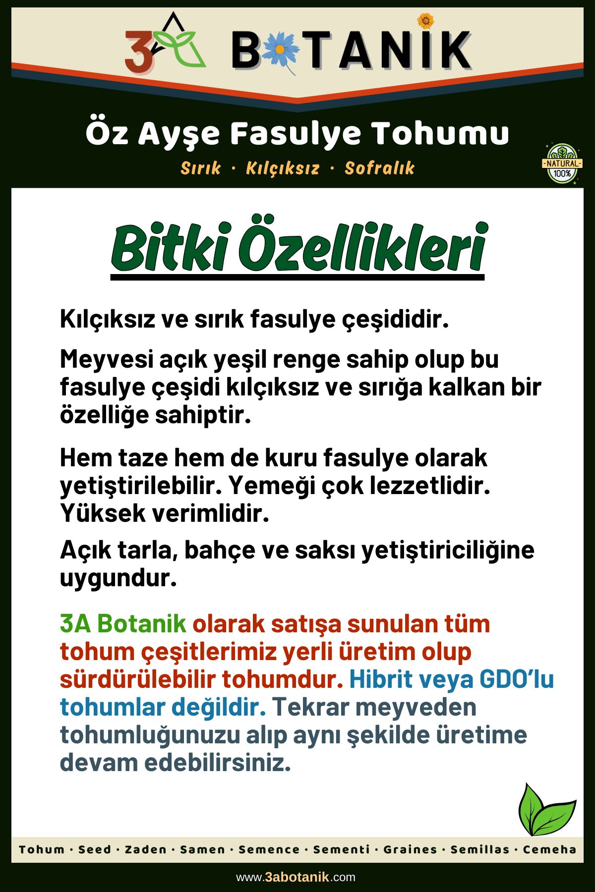 Öz Ayşe Fasulye Tohumu