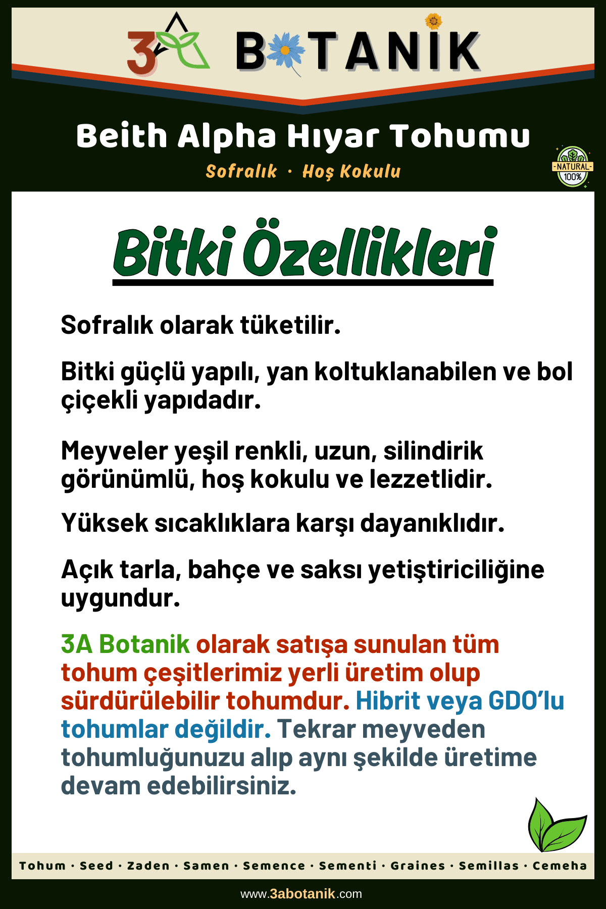 Beith Alpha Hıyar Tohumu