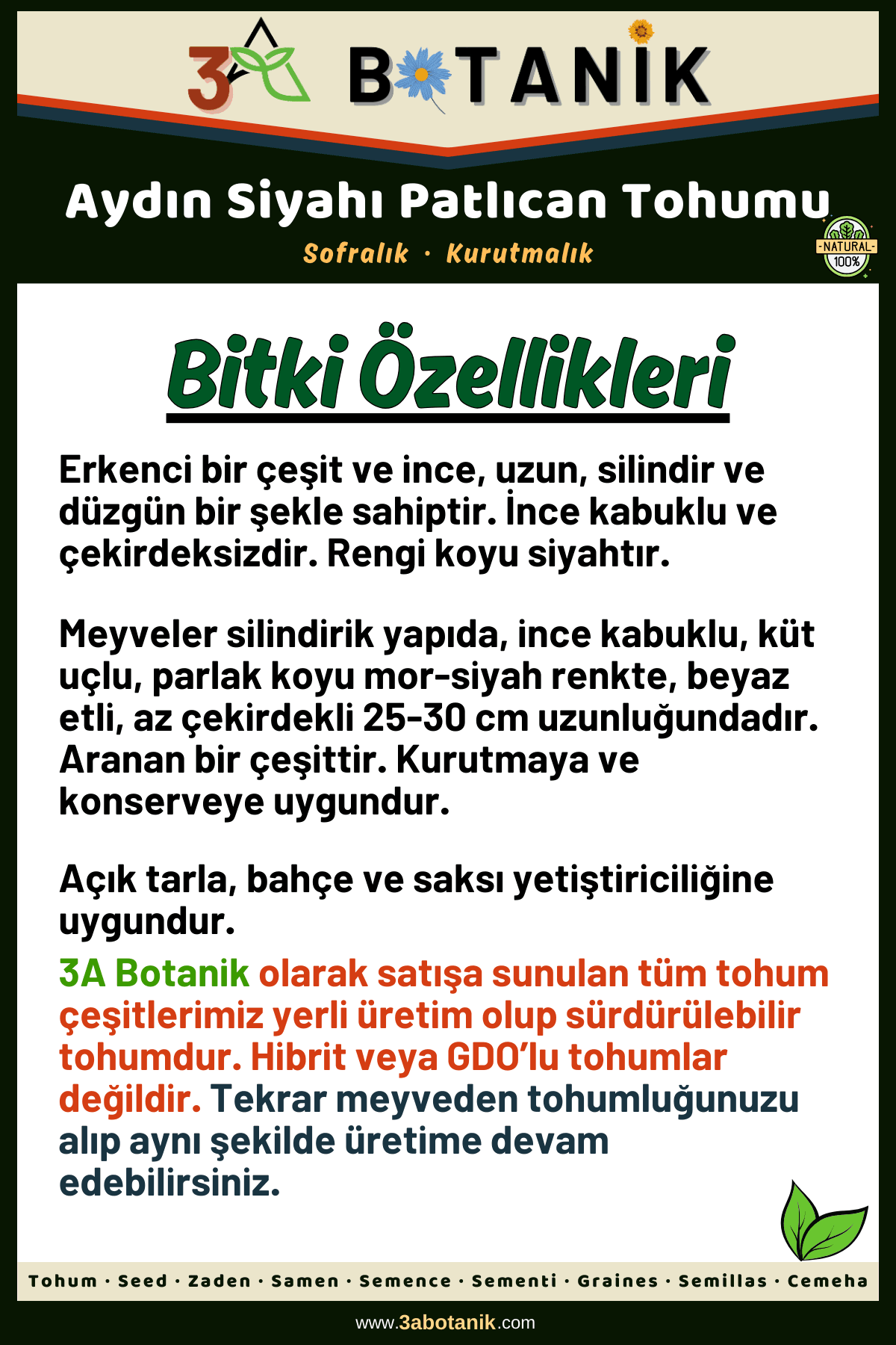 Aydın Siyahı Patlıcan Tohumu