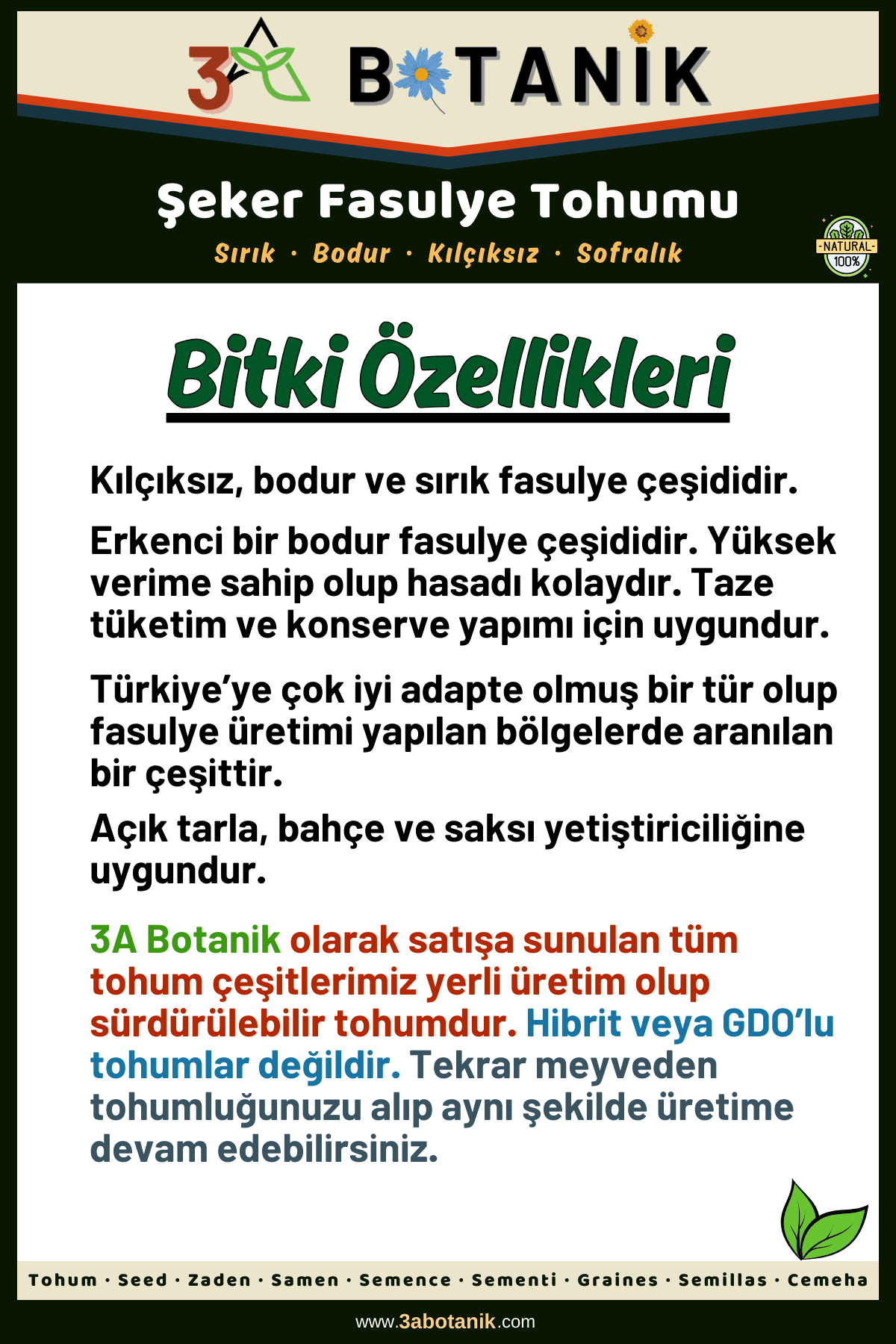 Şeker Fasulye Tohumu