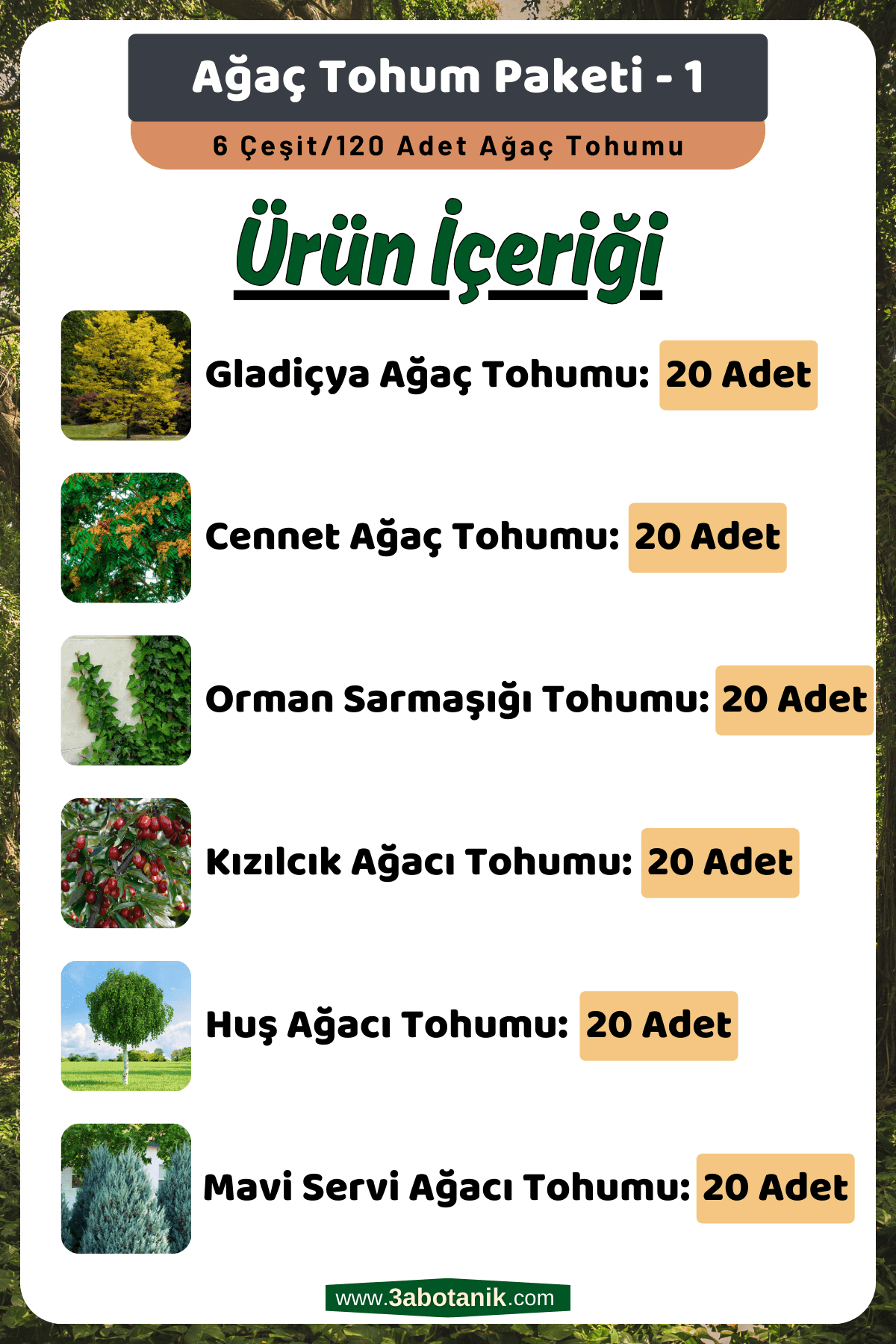 Ağaç Tohum Seti - 1