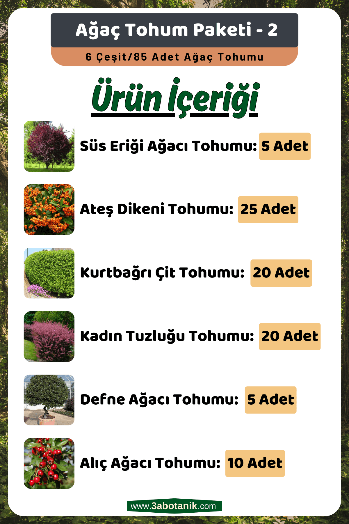 Ağaç Tohum Seti - 2