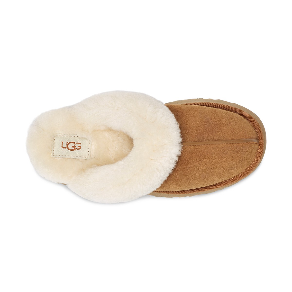 Kadın Terlik 1122550 UGG W DISQUETTE CHESTNUT (TABA)