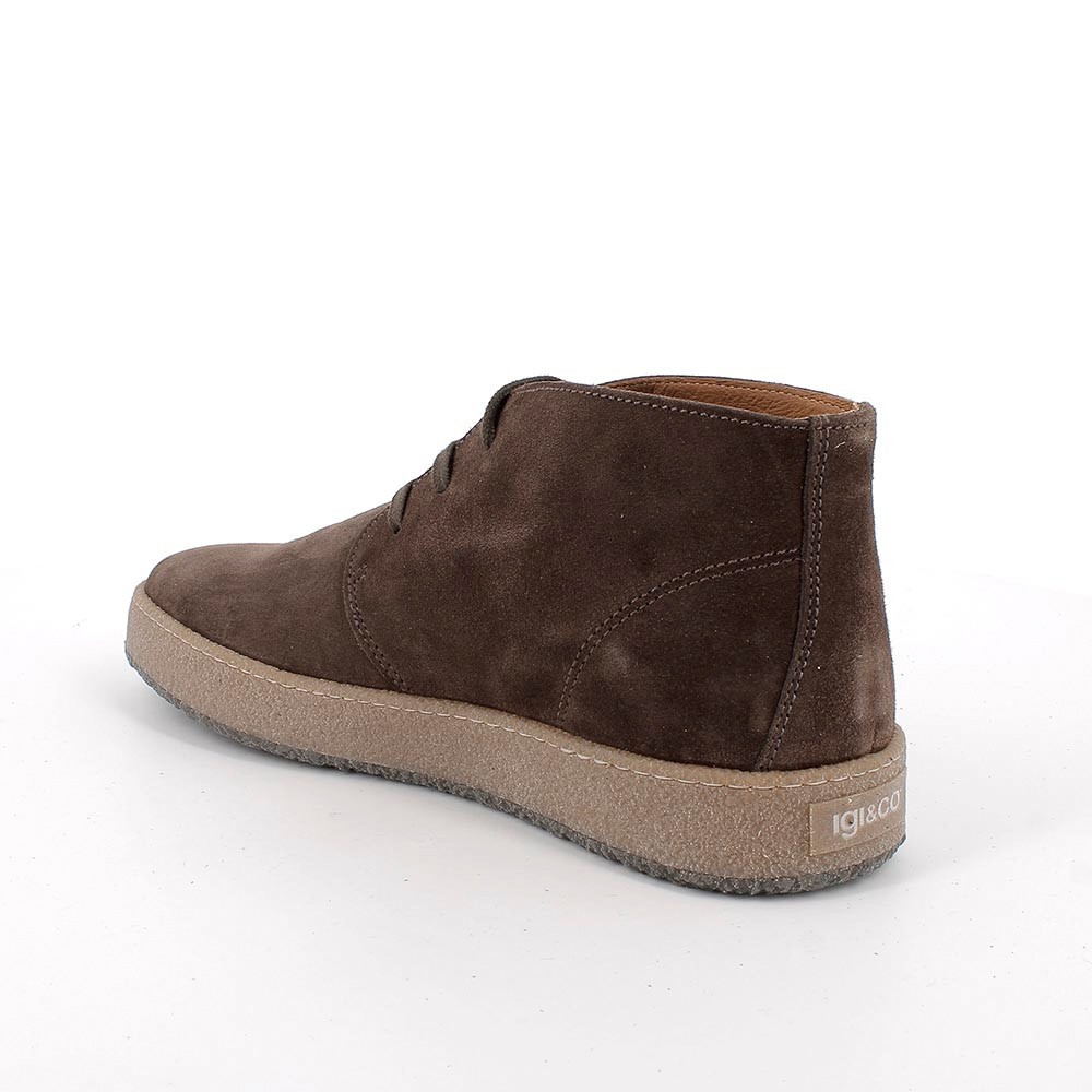 6623322 IGI&CoURD UBR 66233 Suede Castagno (Chhastnut)