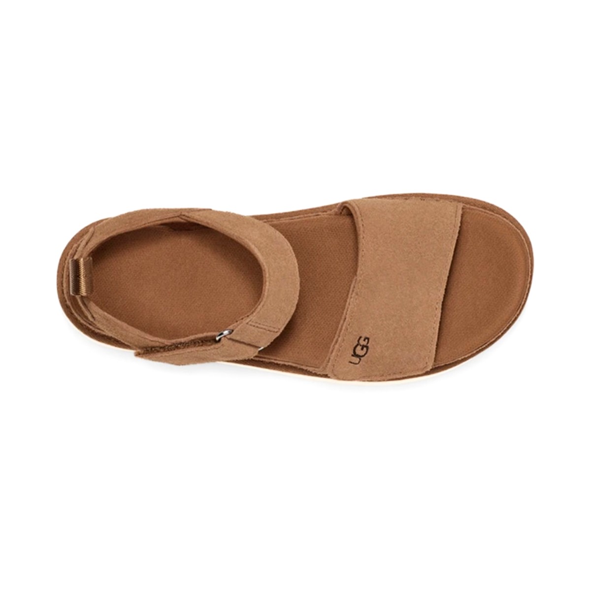 1136783 UGG W GOLDENSTAR CHESTNUT (TABA)