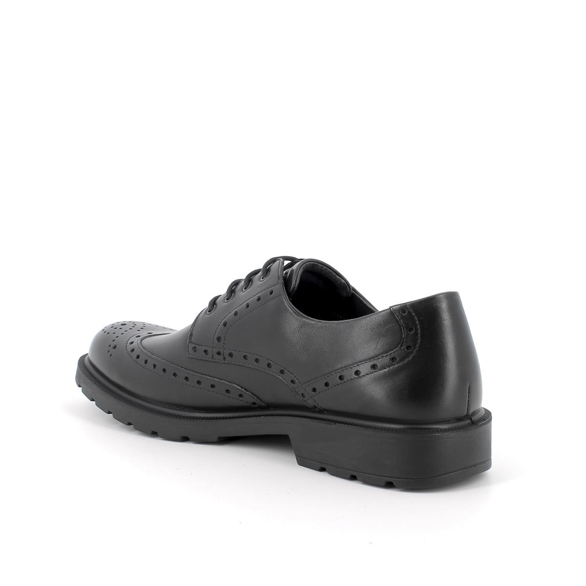 Erkek Oxford ( Klasik) 6604300 IGI&Co UCTGT 66043 Vitello Alfa Nero (Black)