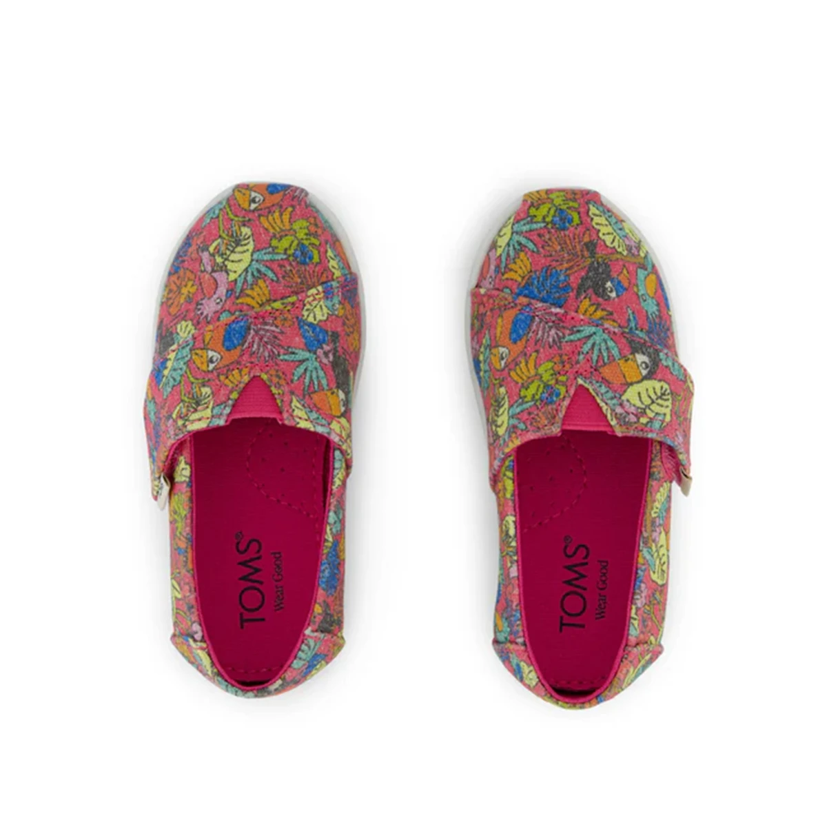 10022120 Toms ALPARGATA Fuchsia Birds of Paradise Print