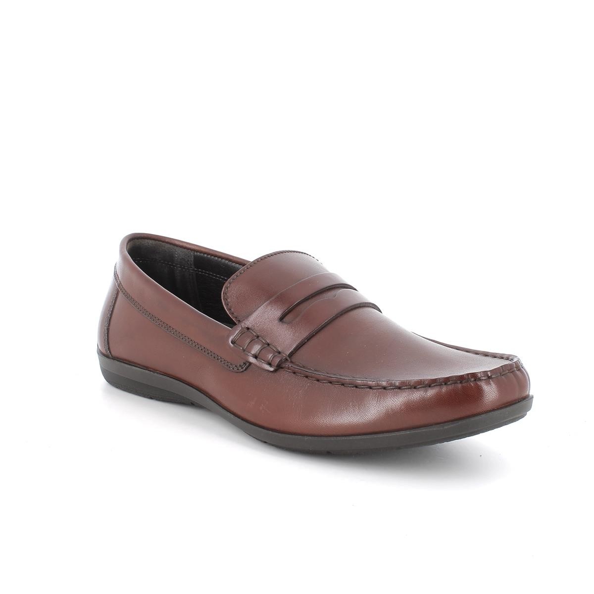 Erkek Oxford ( Klasik) 5613422 ULK 56134 IGI&Co VITELLO ALFA Cognac