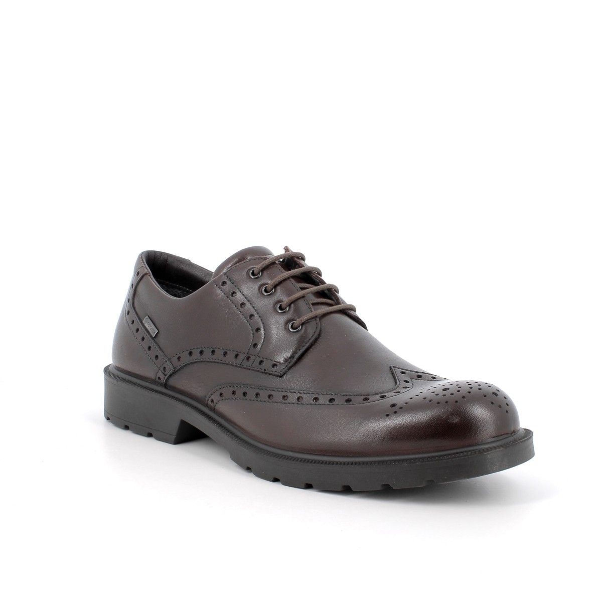 6604311 IGI&Co UCTGT 66043 Vitello Alfa T.Moro (Dark Brown)