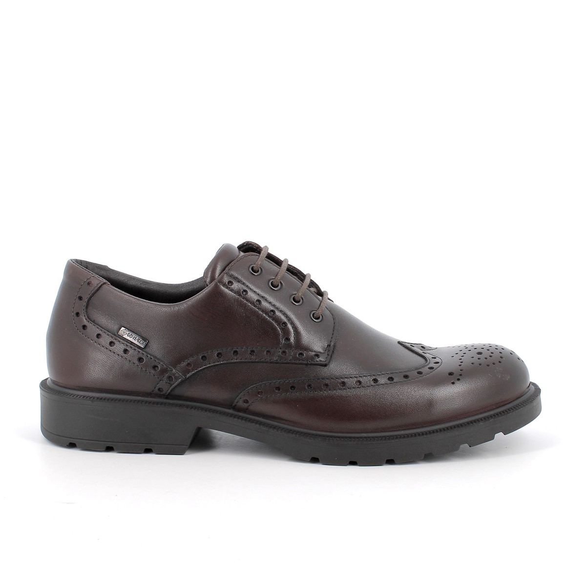 6604311 IGI&Co UCTGT 66043 Vitello Alfa T.Moro (Dark Brown)