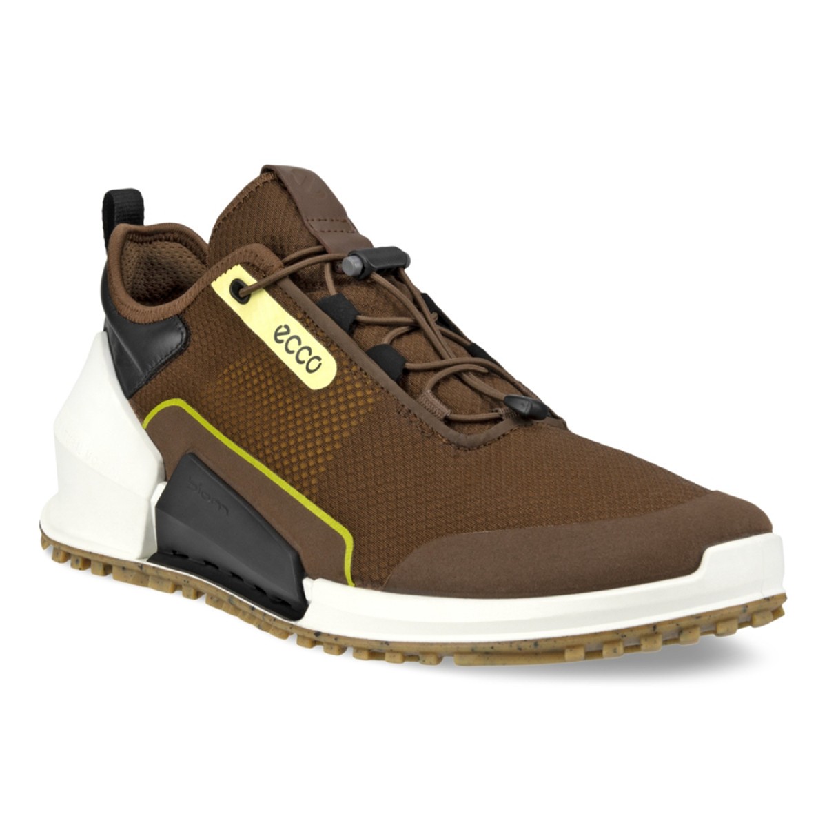 80079455379 ECCO BIOM 2.0 M SNEAKER GTX BROWN