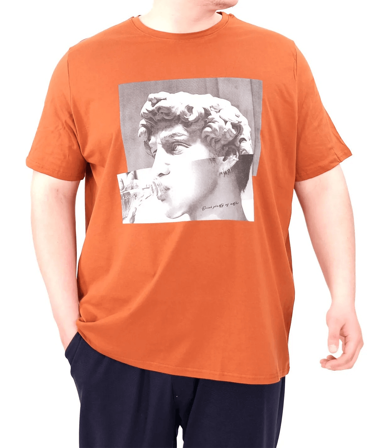 Büyük Beden Erkek T-Shirt Bisiklet Yaka STATUE 25027 Tarçın