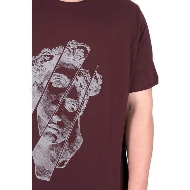 Büyük Beden Erkek T-Shirt Bisiklet Yaka Statue 25004 Mürdüm