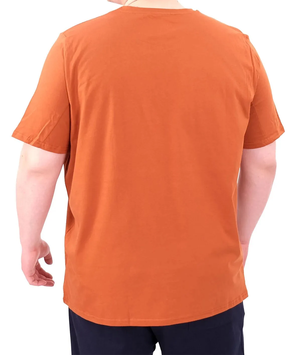 Büyük Beden Erkek T-Shirt Bisiklet Yaka STATUE 25027 Tarçın