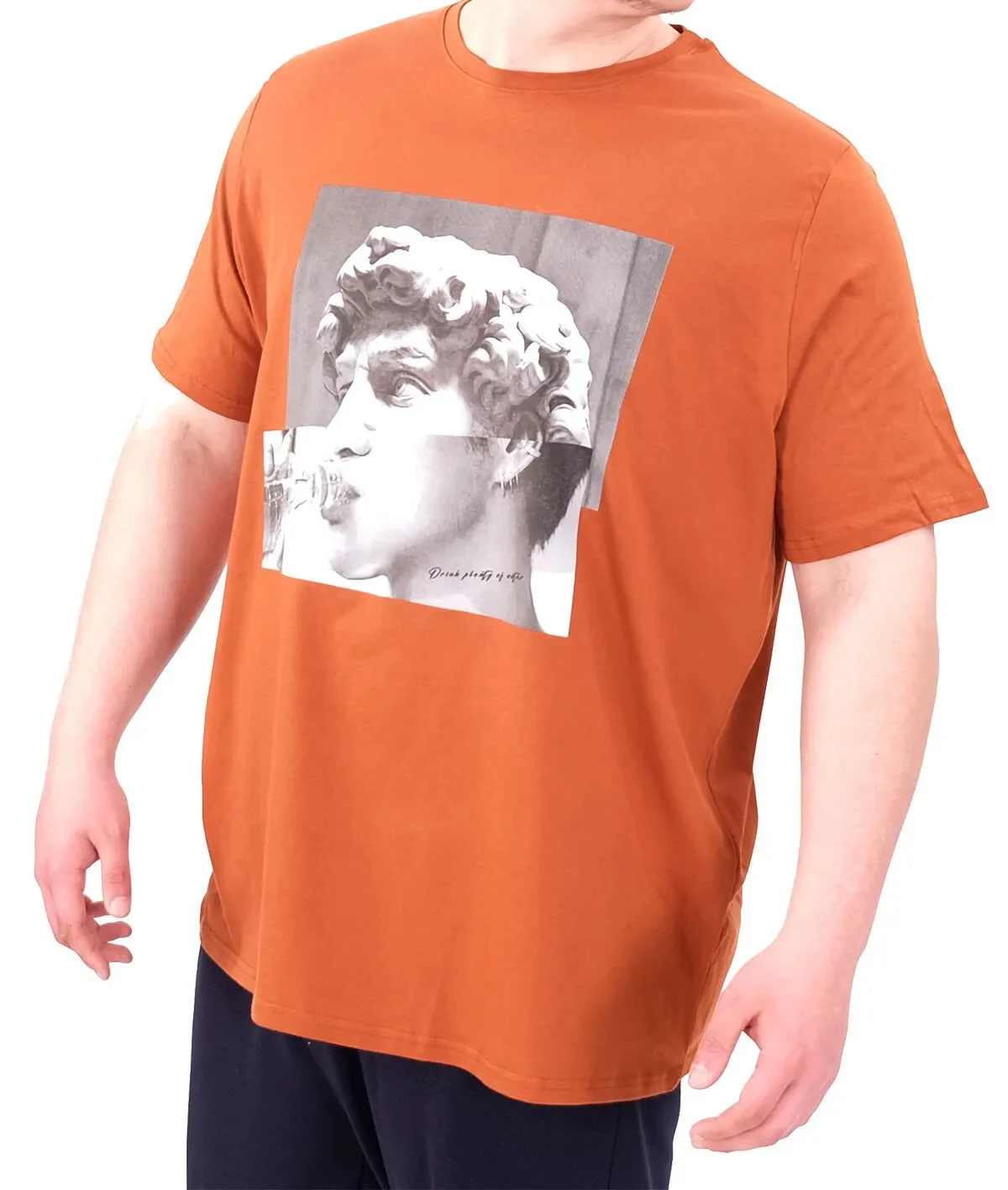 Büyük Beden Erkek T-Shirt Bisiklet Yaka STATUE 25027 Tarçın