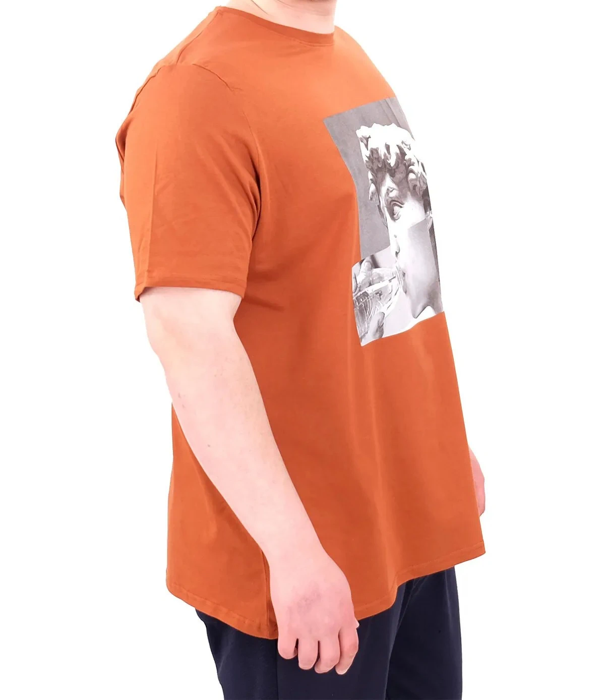 Büyük Beden Erkek T-Shirt Bisiklet Yaka STATUE 25027 Tarçın