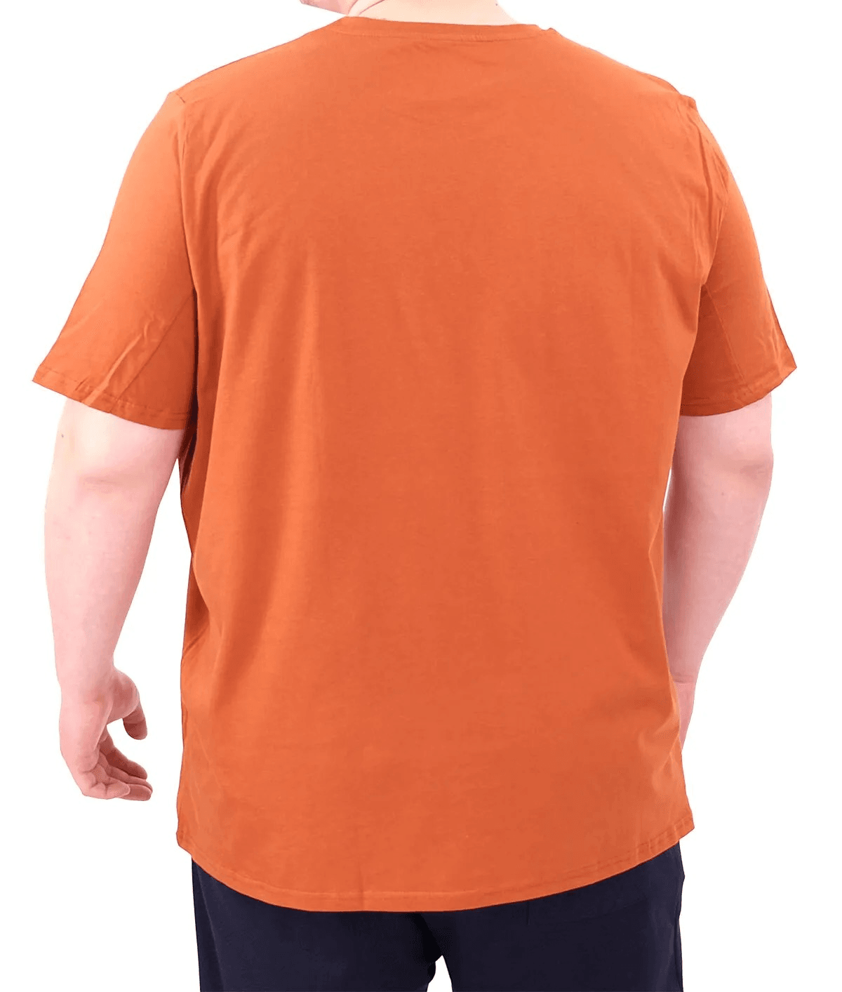 Büyük Beden Erkek T-Shirt Bisiklet Yaka STATUE 25027 Tarçın