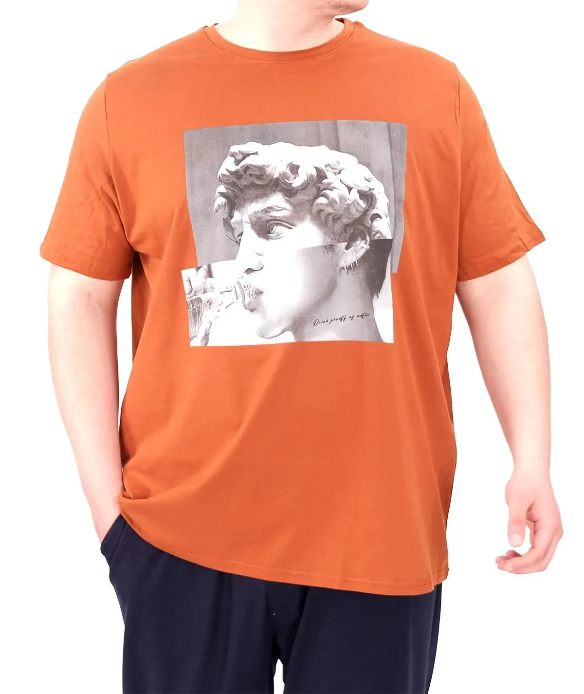 Büyük Beden Erkek T-Shirt Bisiklet Yaka STATUE 25027 Tarçın