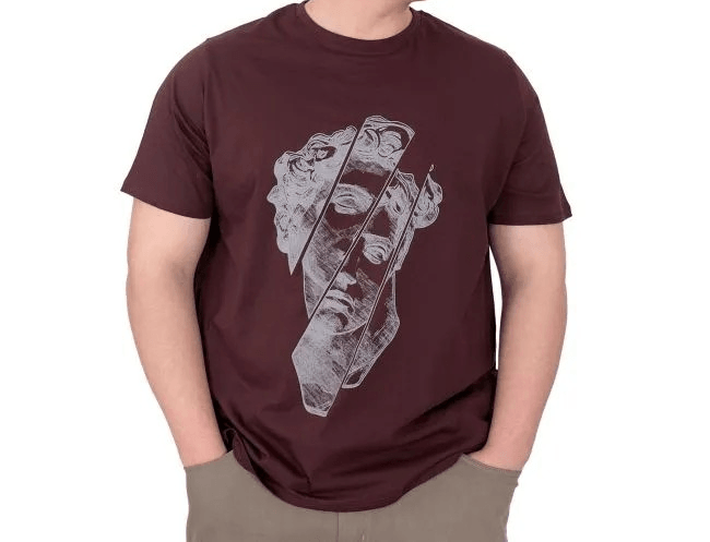 Büyük Beden Erkek T-Shirt Bisiklet Yaka Statue 25004 Mürdüm