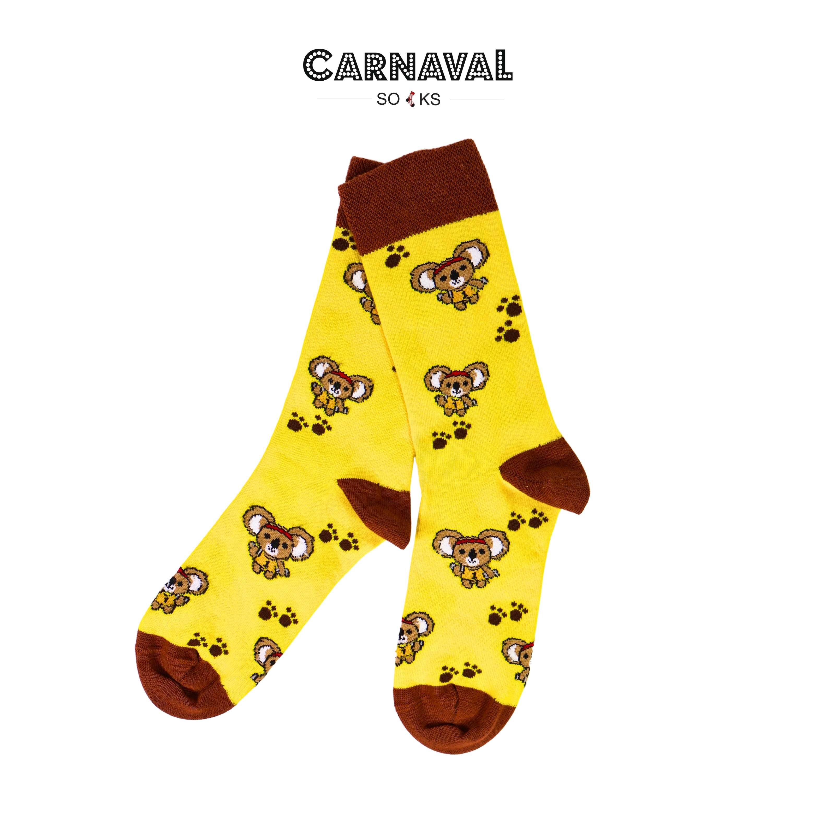 5'li Koala Story Desenli Renkli Unisex Kutulu Çorap Seti