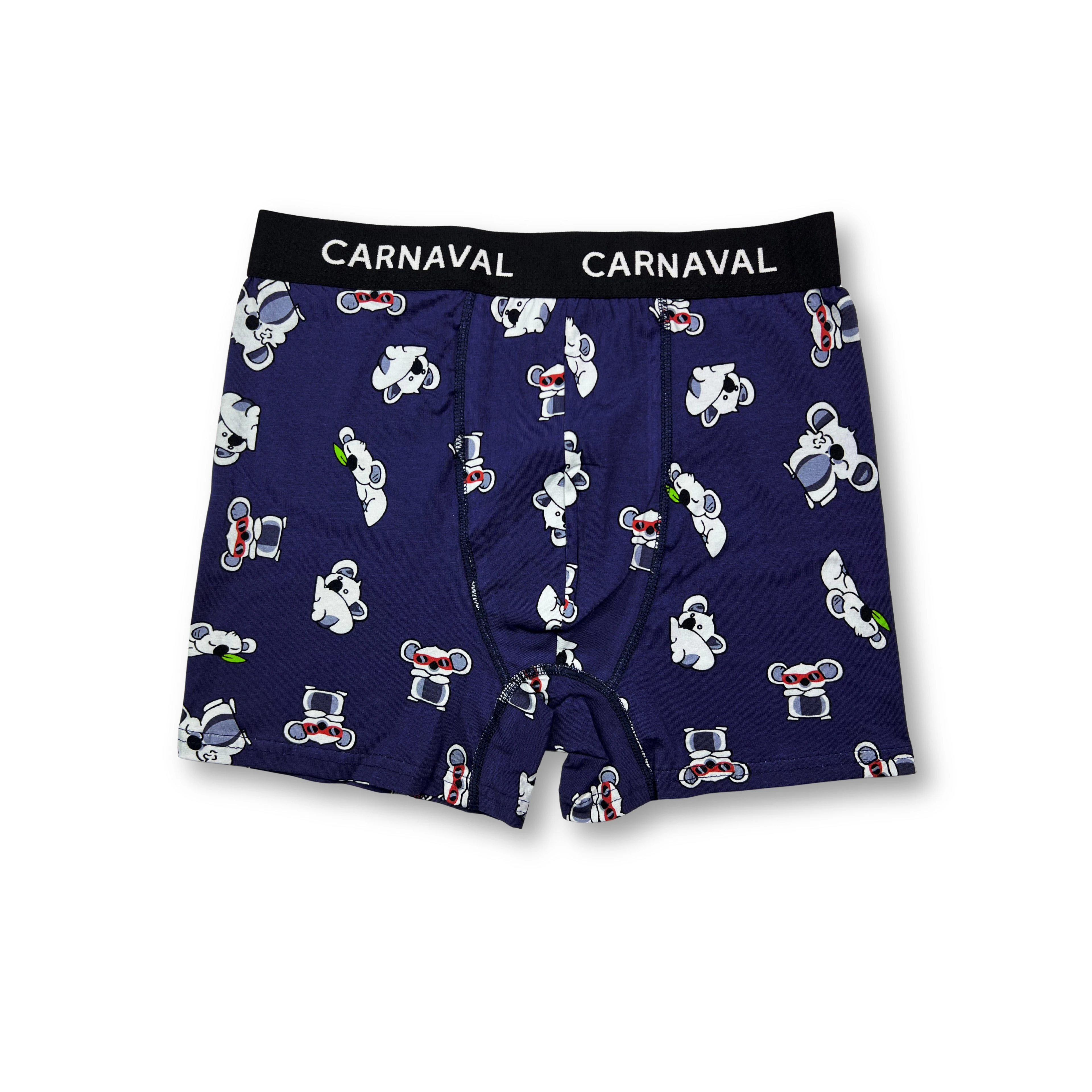 CARNAVAL Koala Desenli Couple İç Giyim Seti