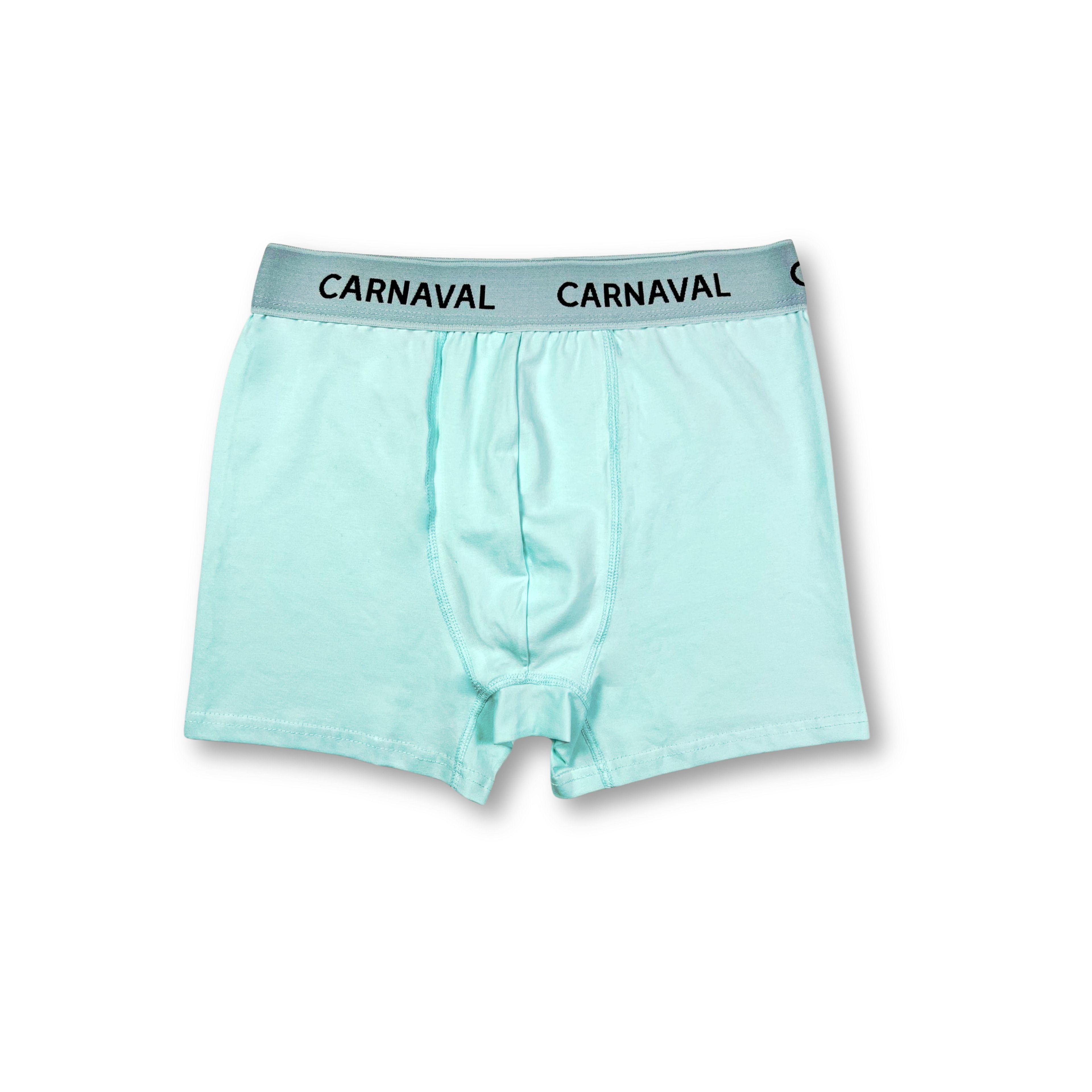 CARNAVAL Mint Yeşili Premium Pamuklu Erkek Boxer