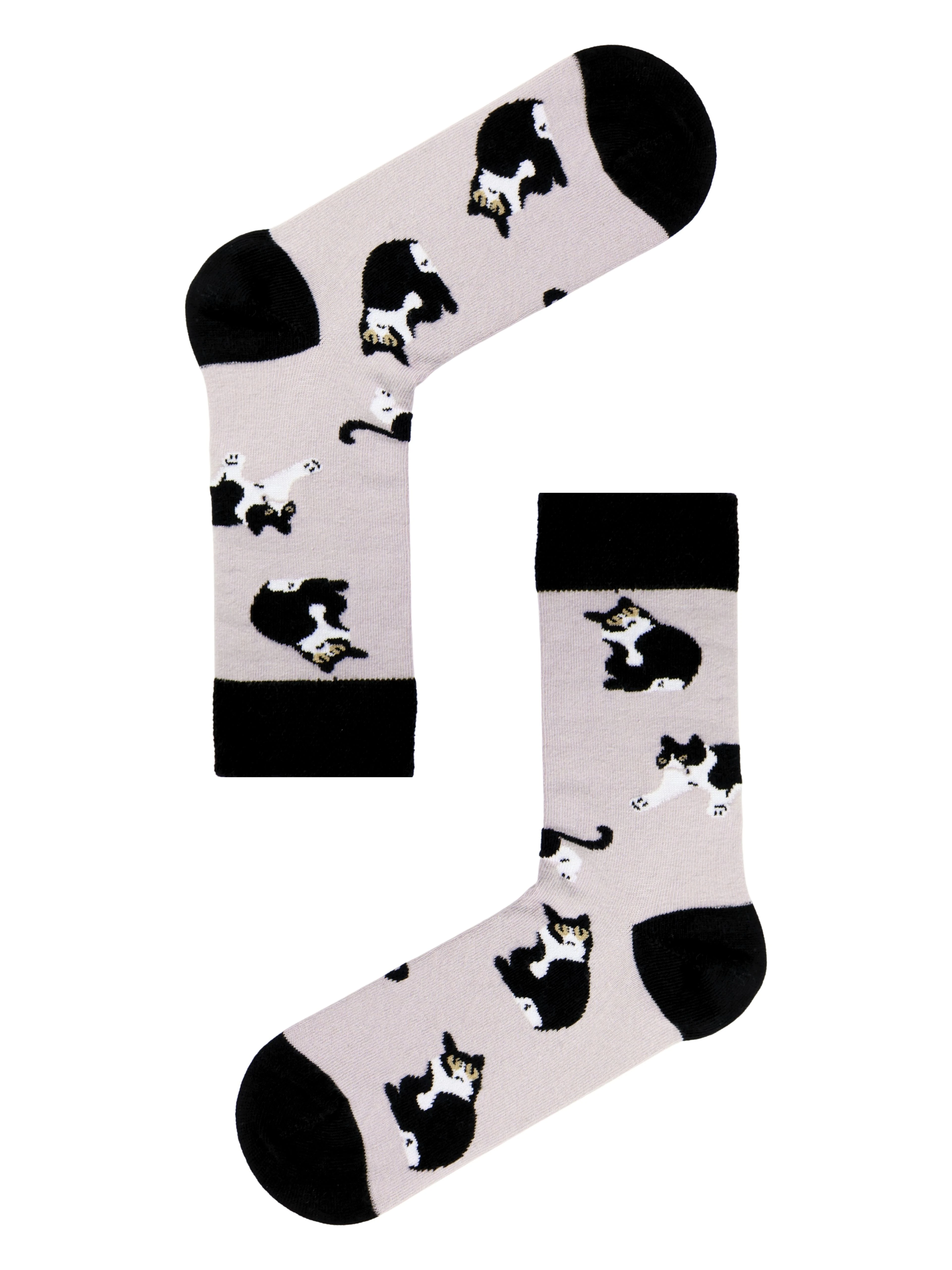 smokin kedi desenli renkli soket çorap