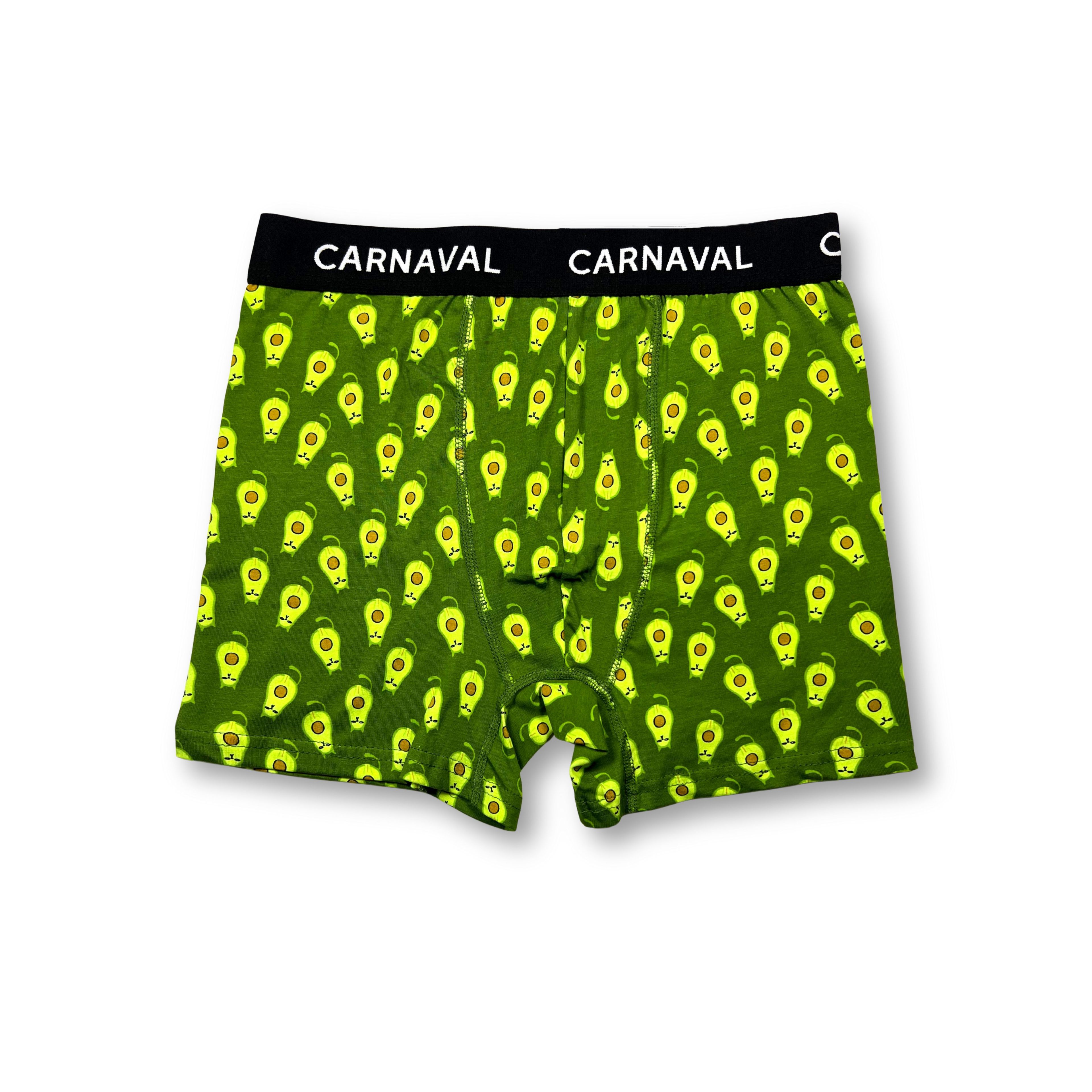 CARNAVAL Avokado Desenli Premium Pamuklu Erkek Boxer - Yeşil Renkli