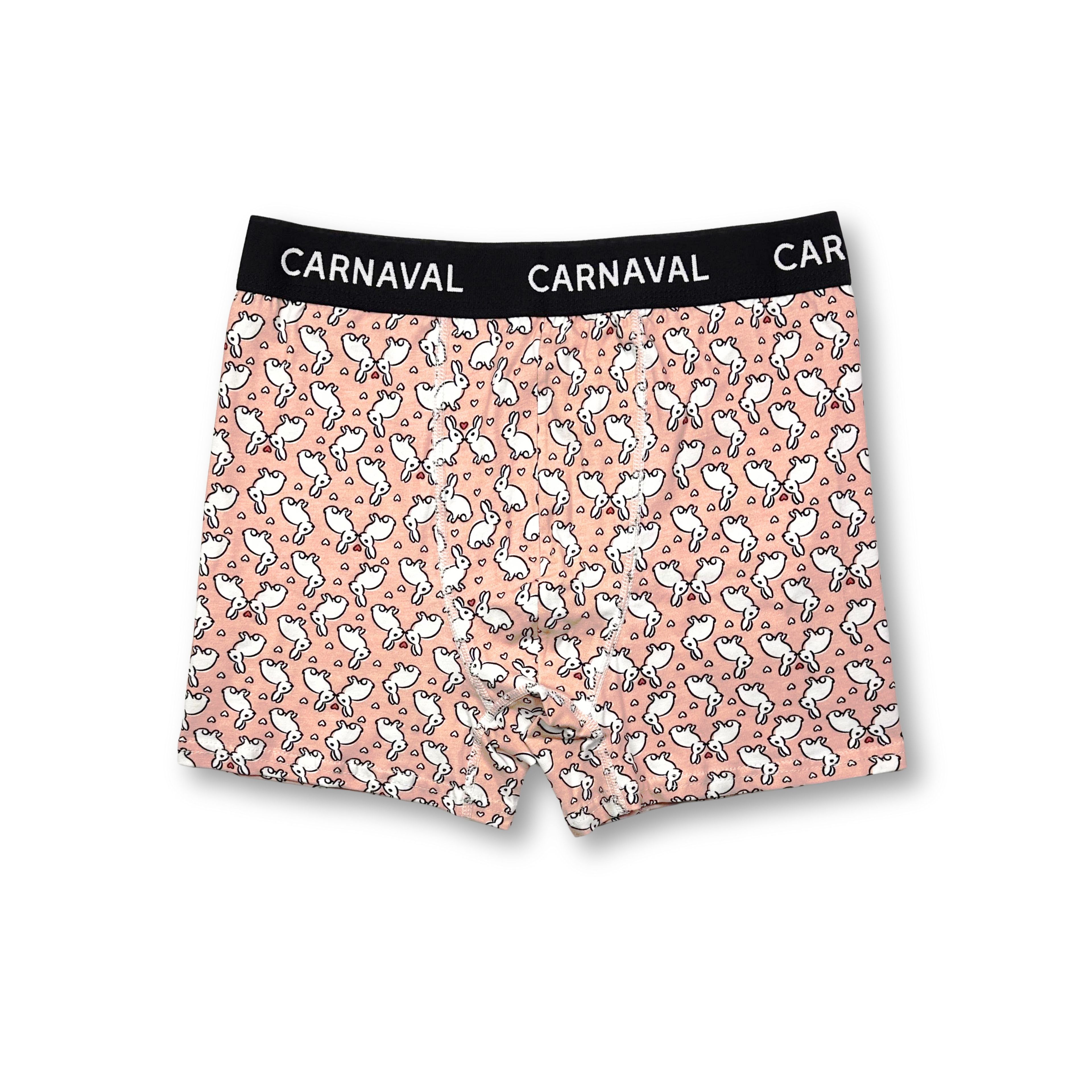 CARNAVAL Tavşan Desenli Premium Pamuklu Erkek Boxer -Bebek Ağzı Renkli