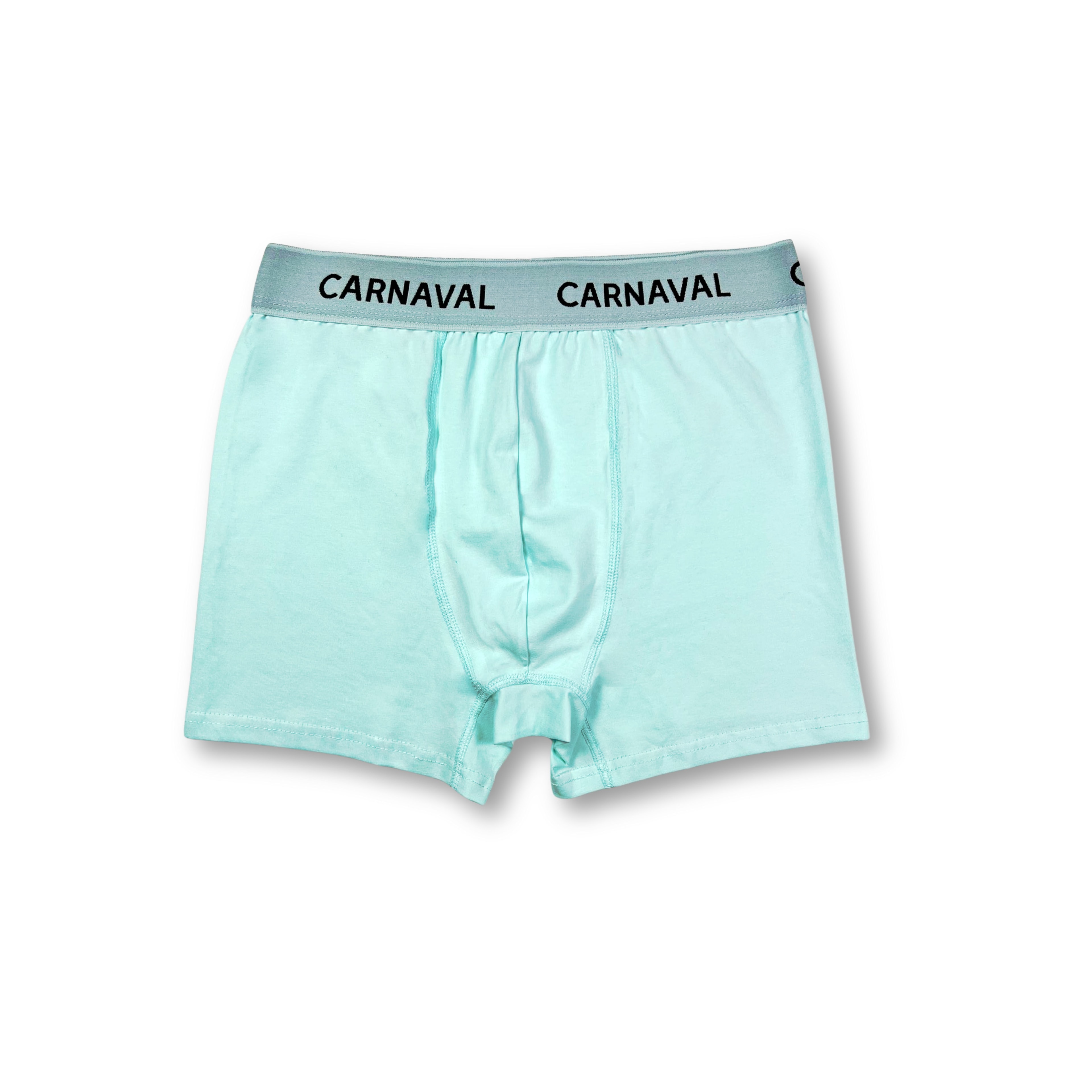 Carnaval Turkuaz Renkli Erkek Boxer  | Kutulu | Toptan 1 Seri (10 Adet) Ürün