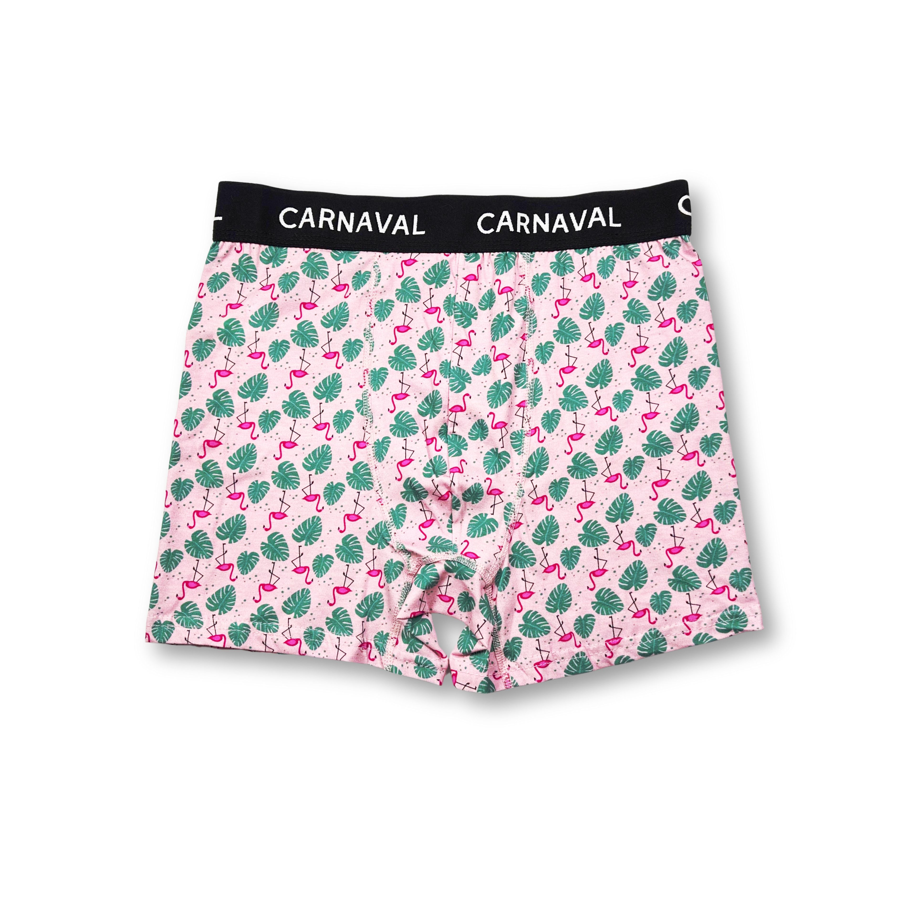 CARNAVAL Flamingo Desenli Premium Pamuklu Erkek Boxer -Pembe Renkli