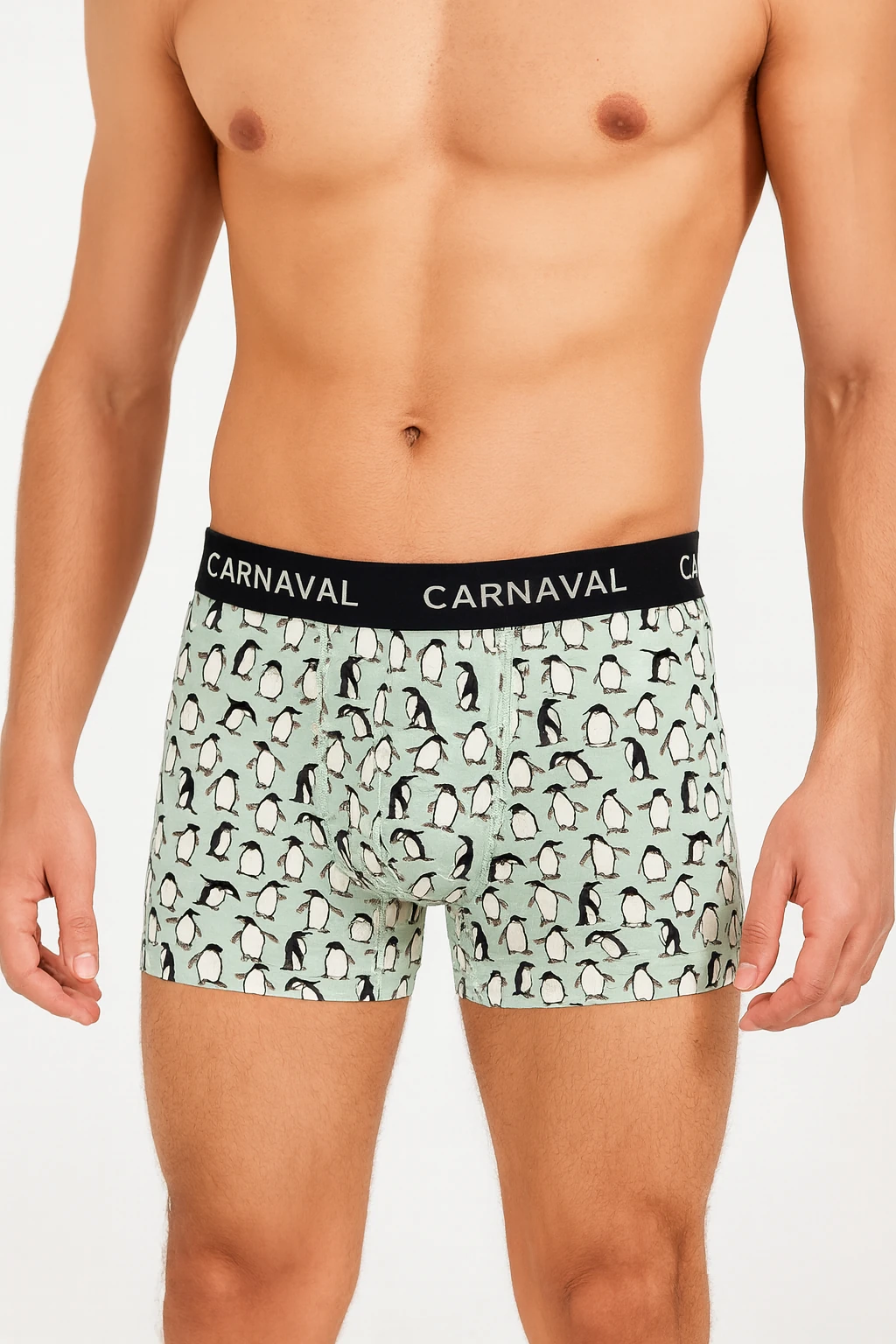 CARNAVAL  Penguen Desenli couple iç giyim seti