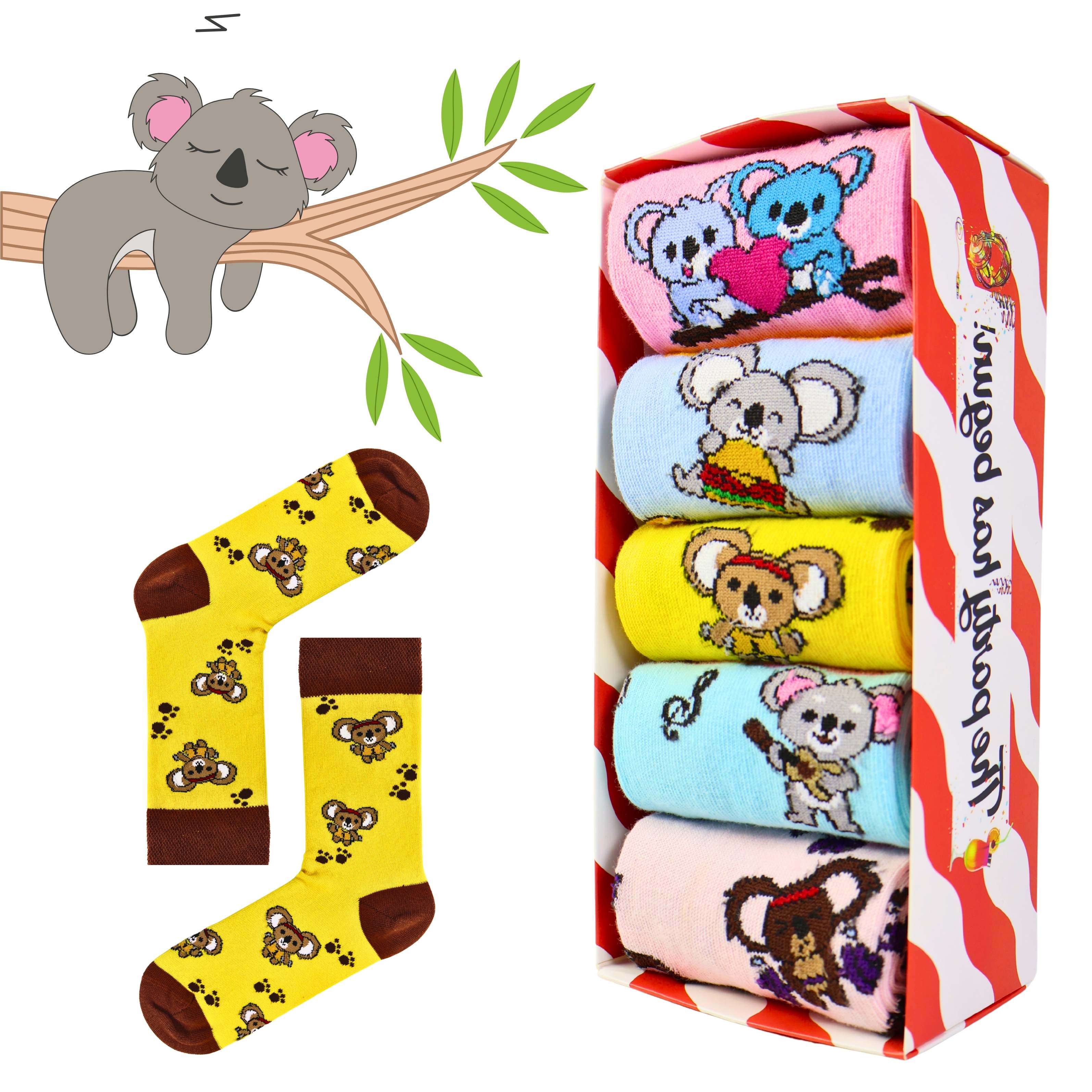 5'li Koala Story Desenli Renkli Unisex Kutulu Çorap Seti