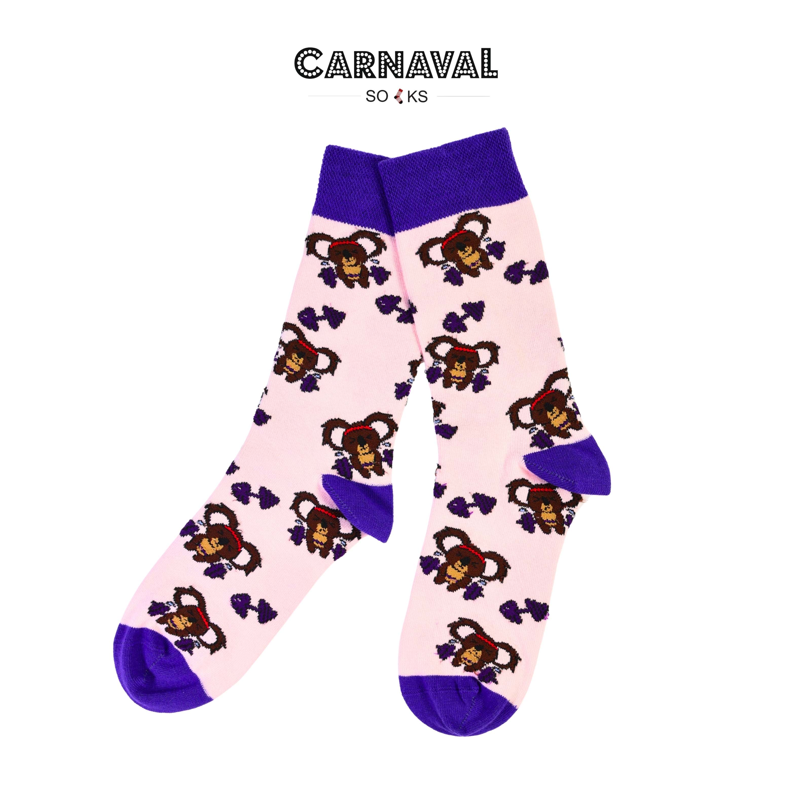 5'li Koala Story Desenli Renkli Unisex Kutulu Çorap Seti