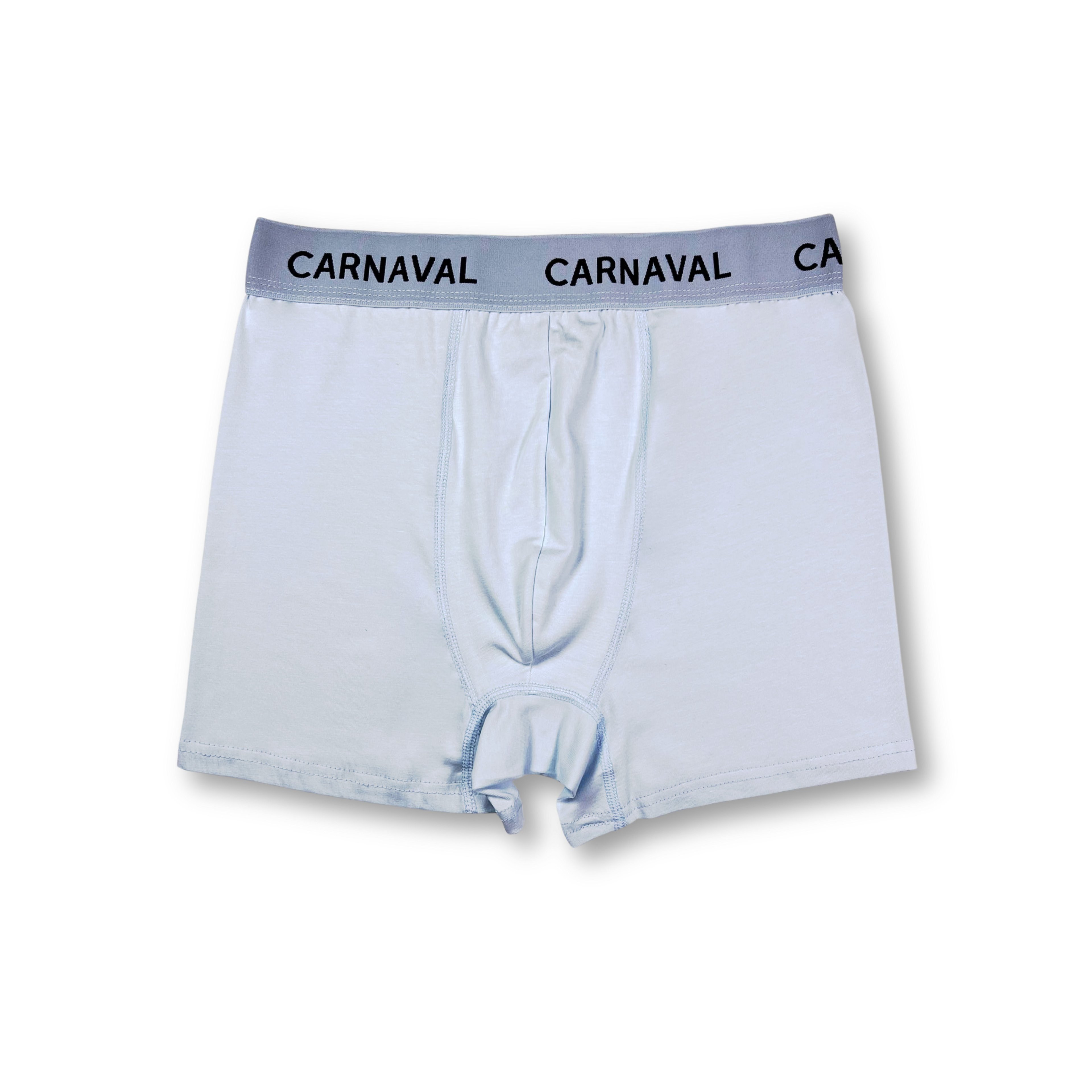 CARNAVAL Açık Mavisi Premium Pamuklu Erkek Boxer