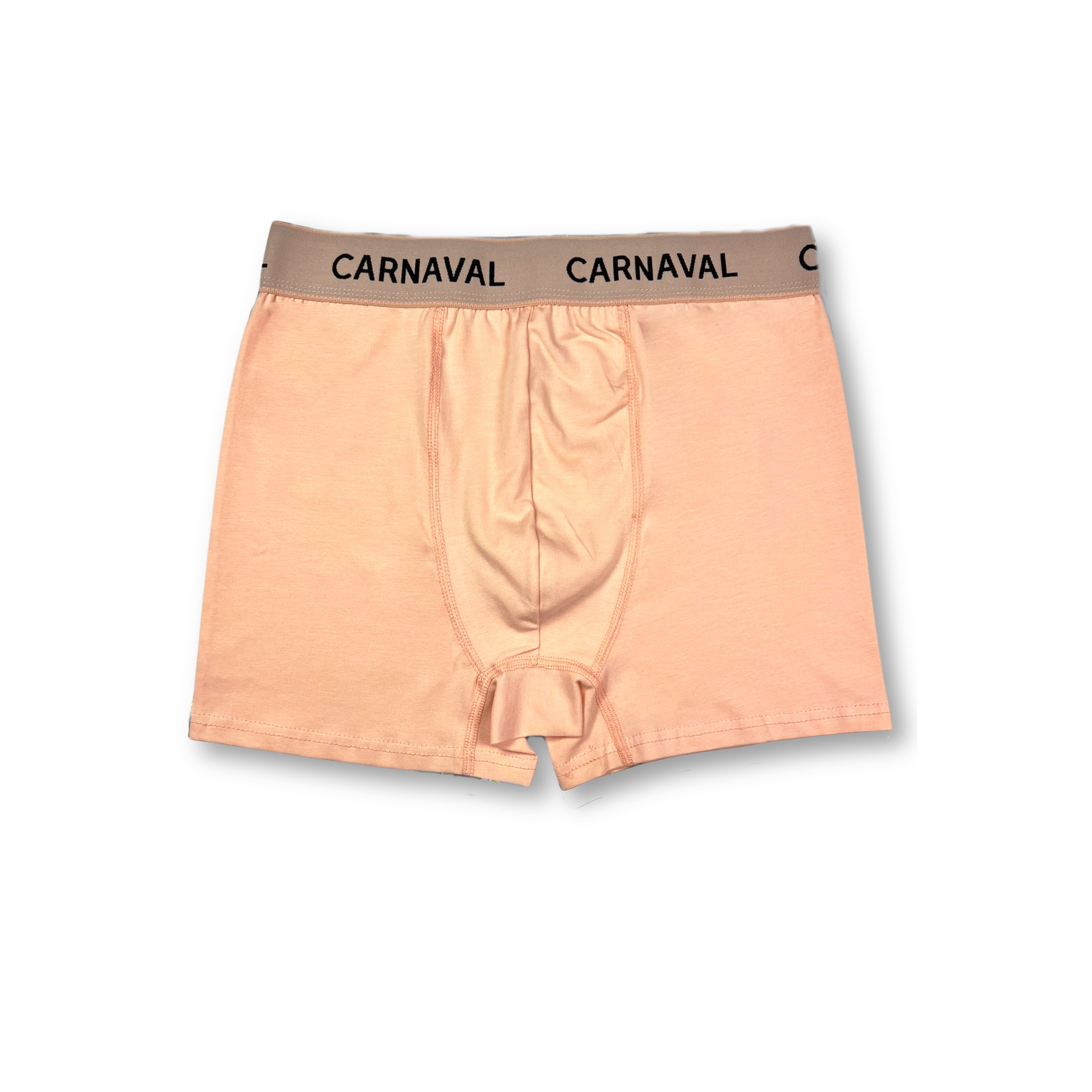Carnaval Somon Renkli Erkek Boxer  | Kutulu | Toptan 1 Seri (10 Adet) Ürün