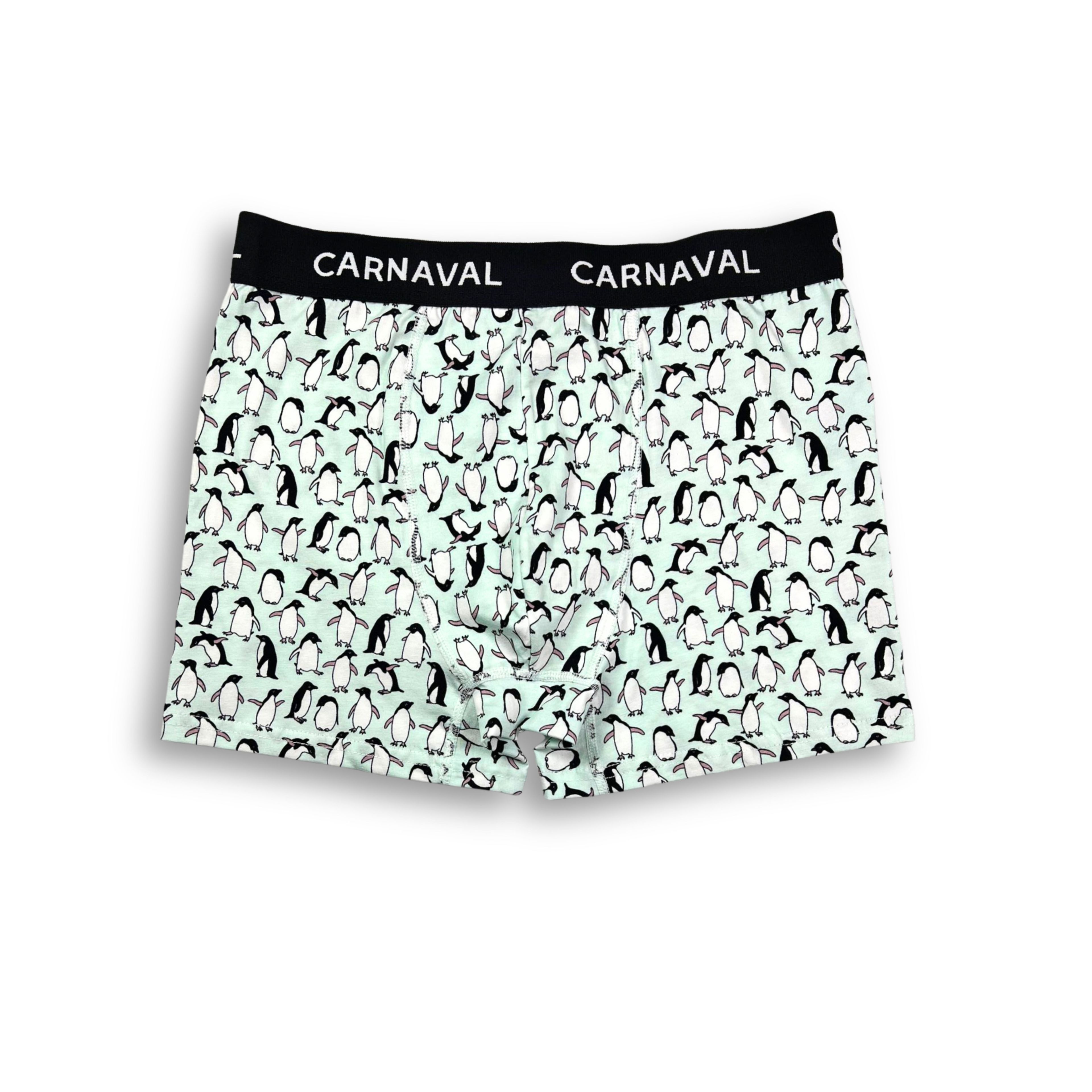 CARNAVAL Penguen Desenli Premium Pamuklu Erkek Boxer -Açık Mavi Renkli